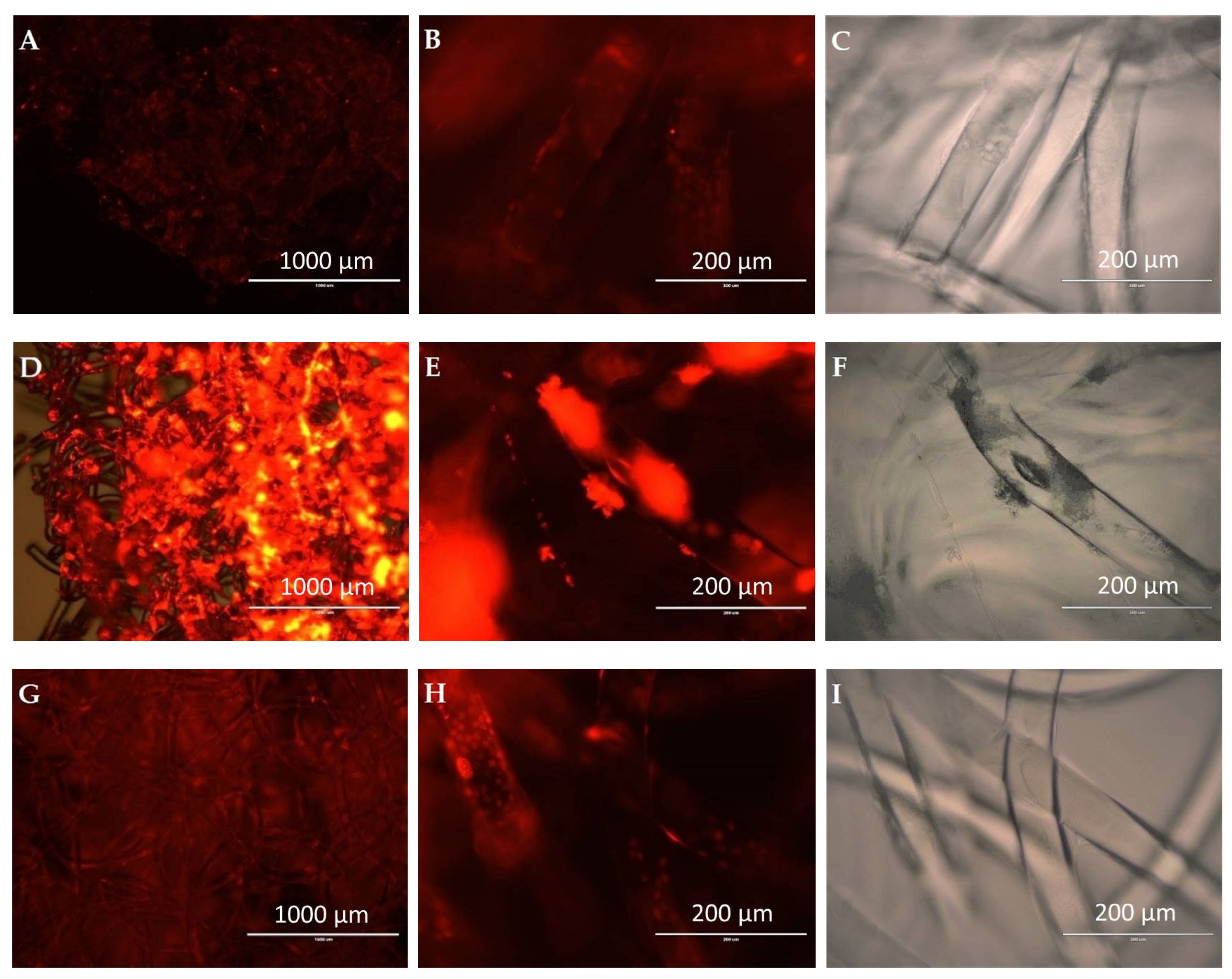 Polymers 15 00777 g013