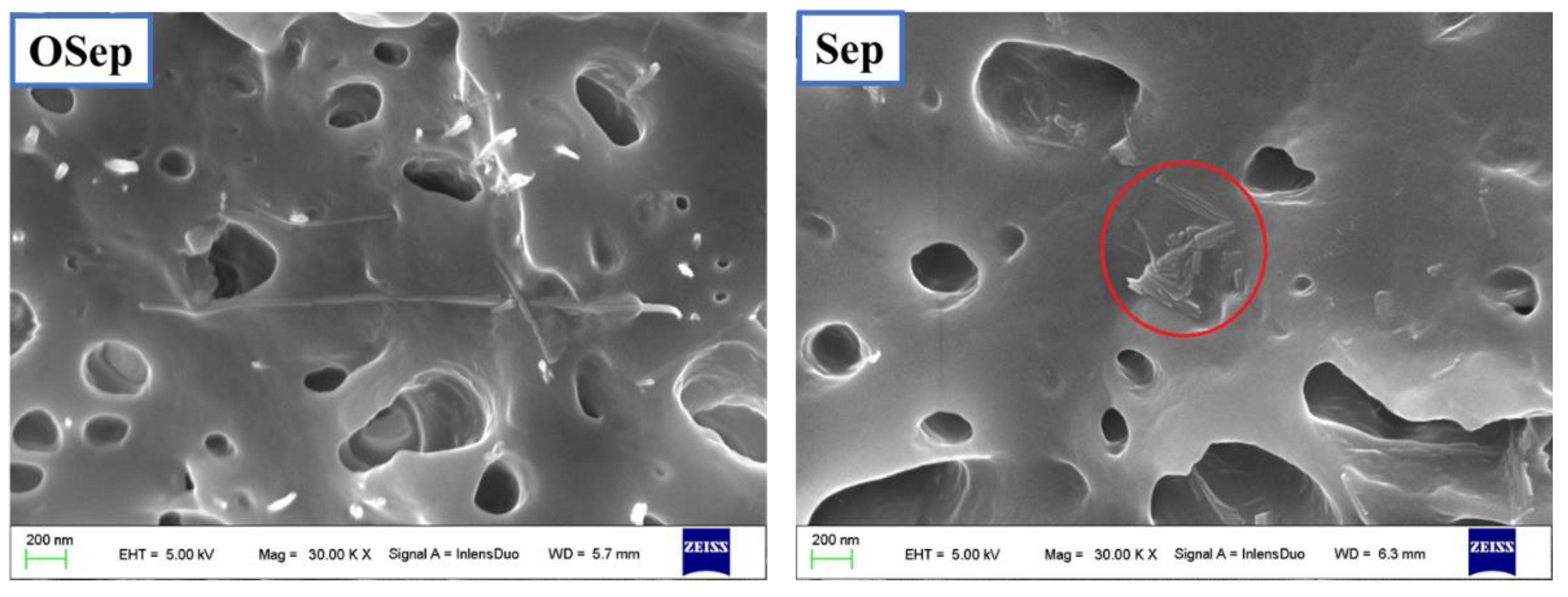 Polymers 15 00802 g003 Polymers 15 00802 g003