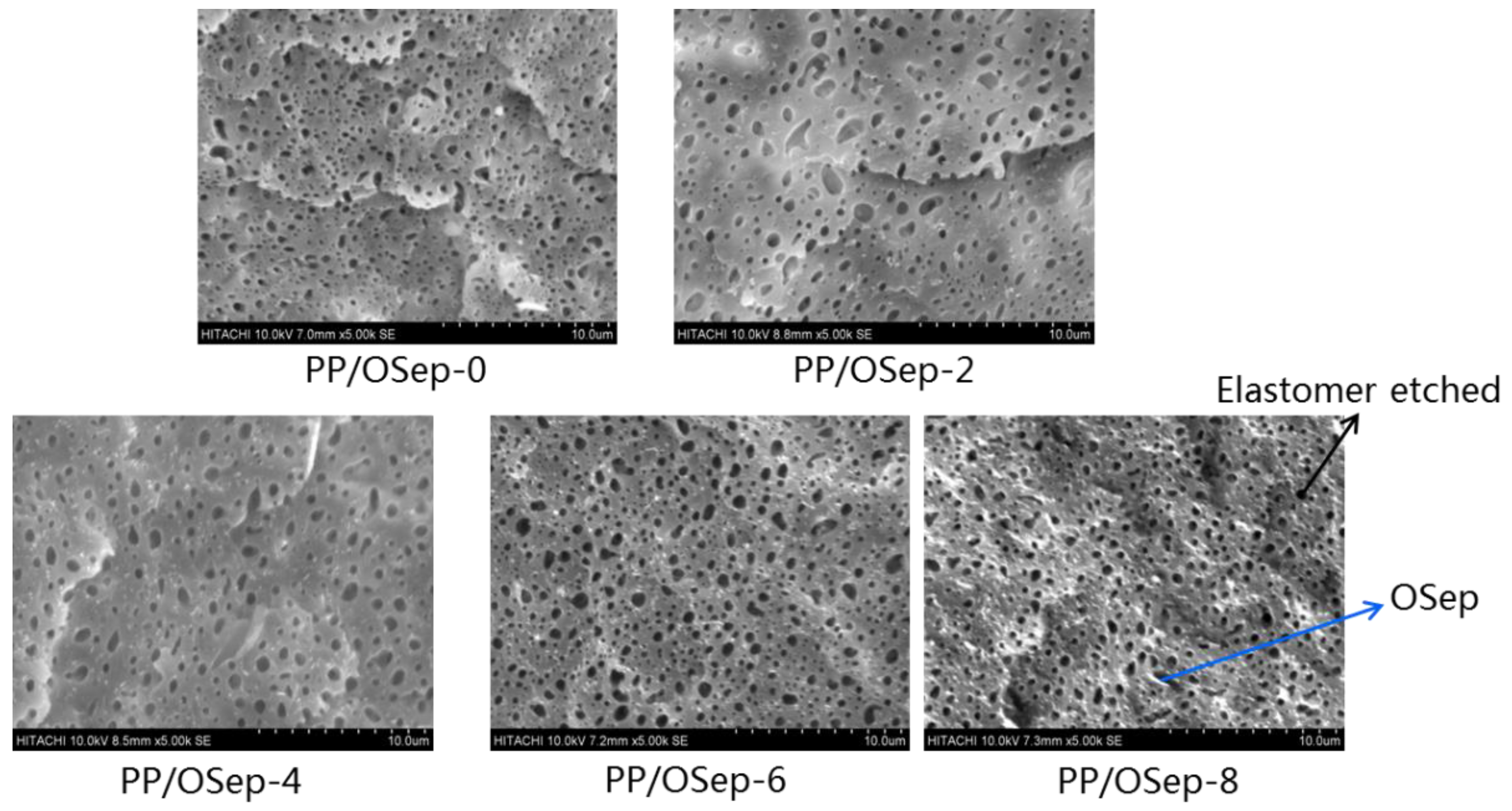 Polymers 15 00802 g004 Polymers 15 00802 g004