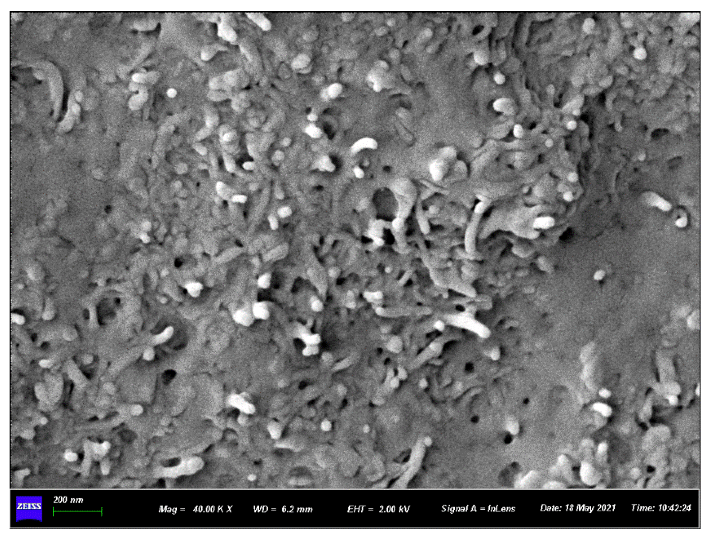 Polymers 15 00804 g005
