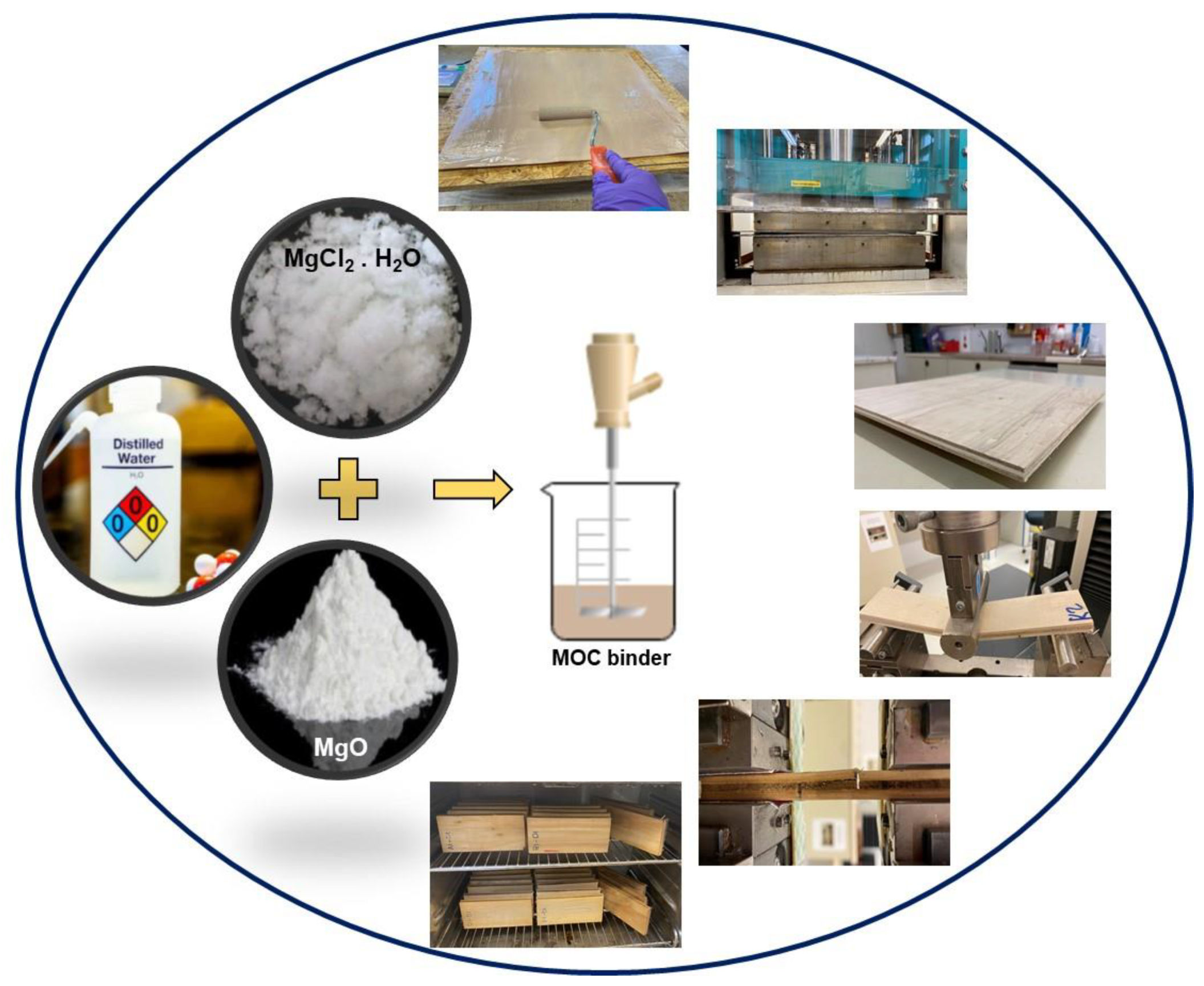 Polymers 15 00805 g001