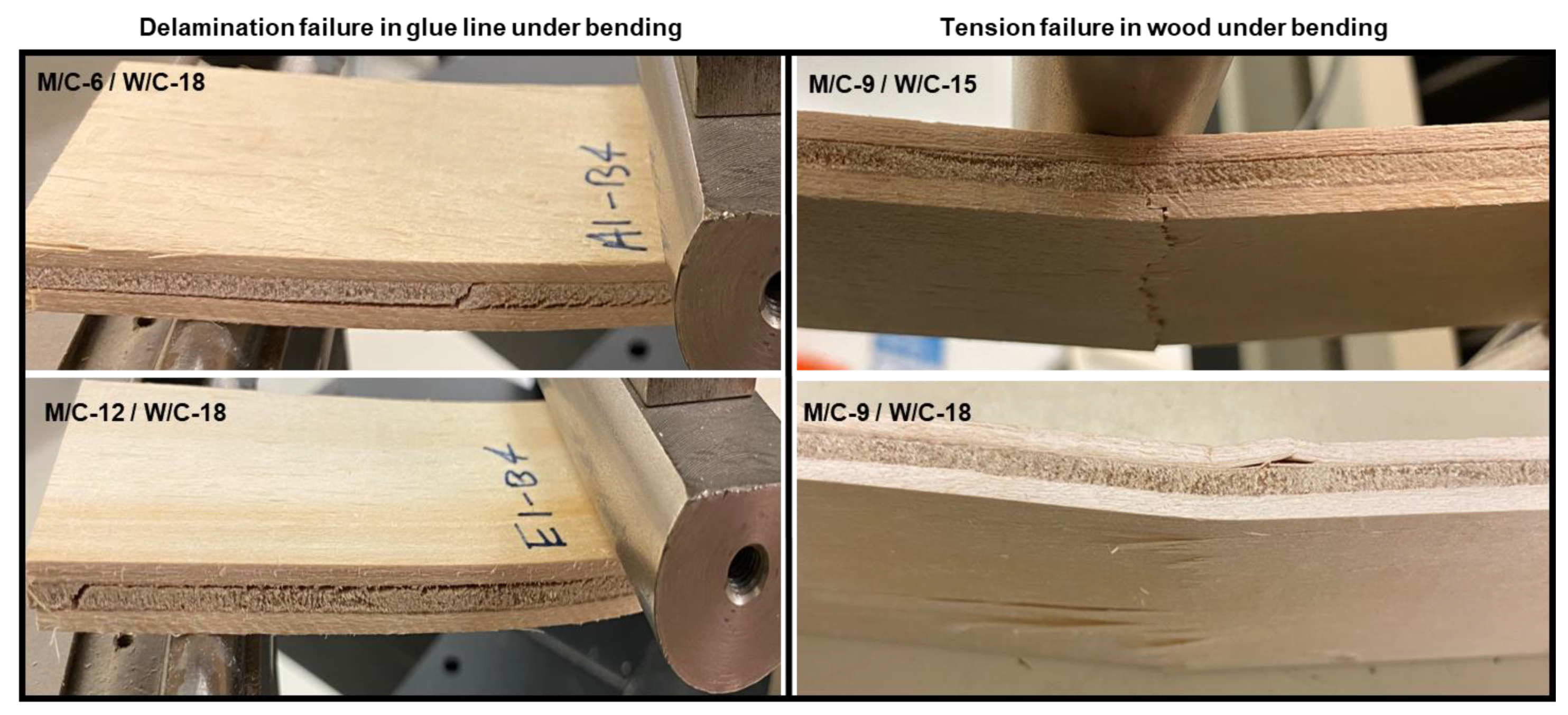 Polymers 15 00805 g007