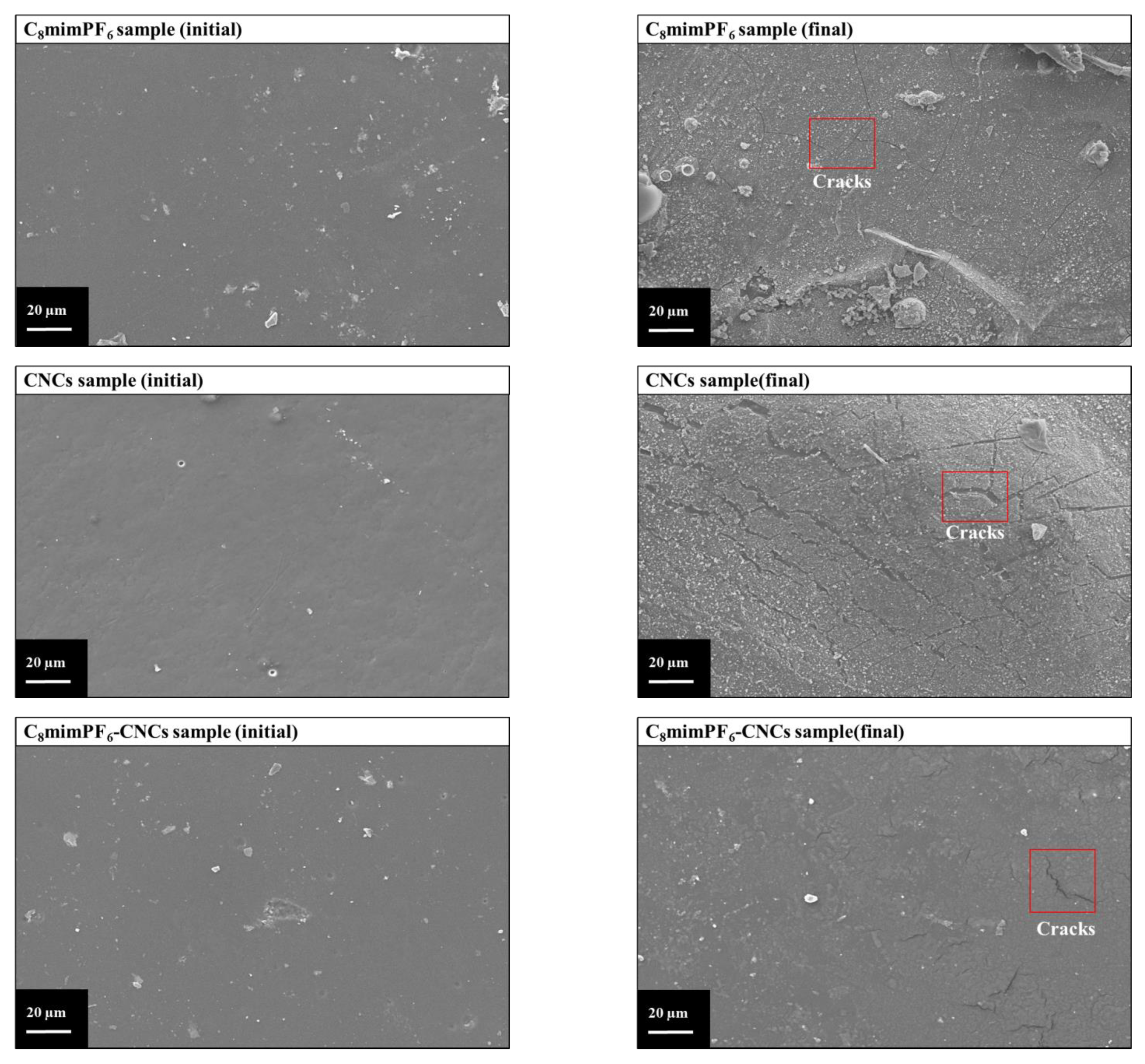 Polymers 15 00810 g008b