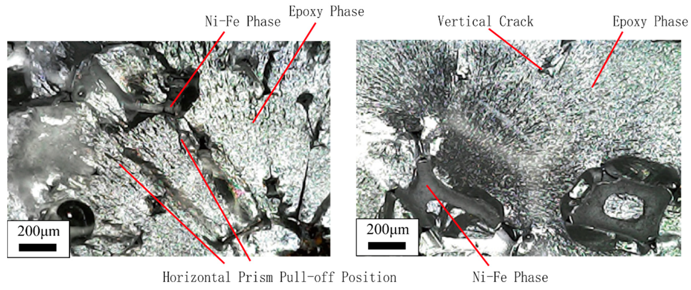 Polymers 15 00812 g009