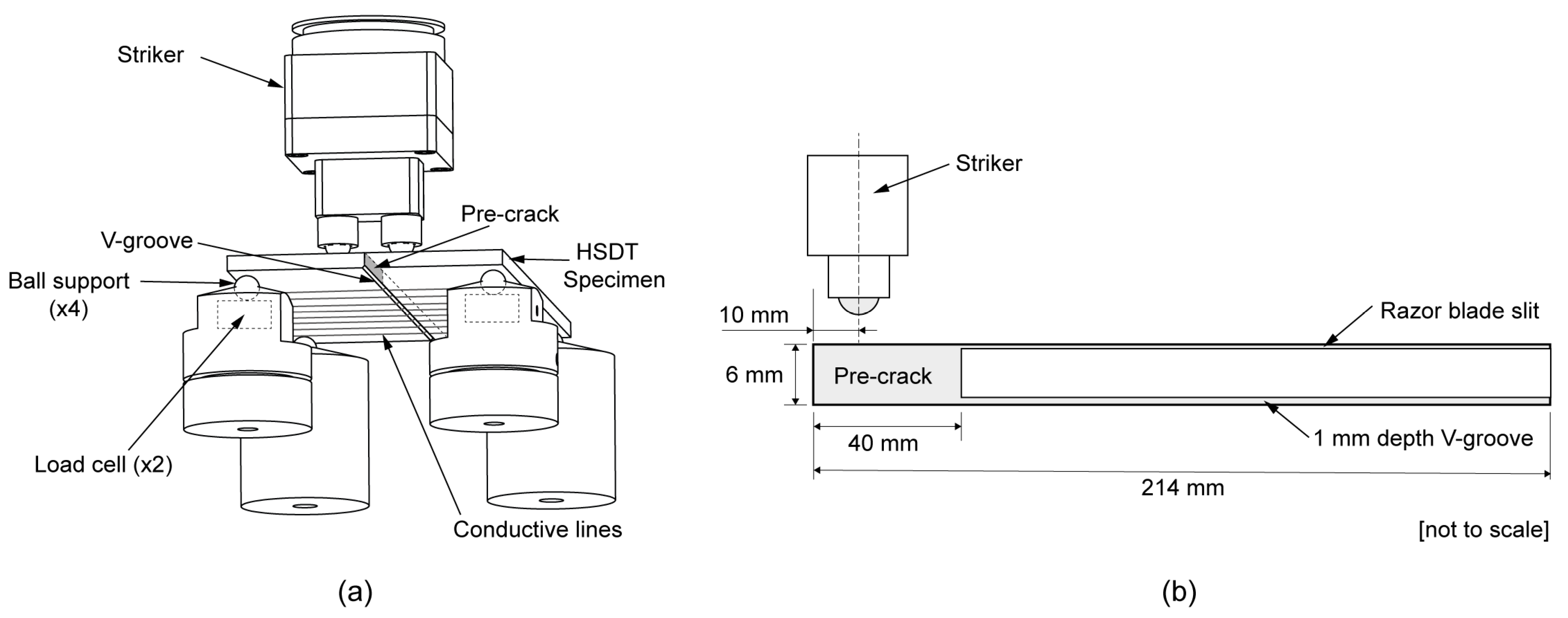 Polymers 15 00813 g001