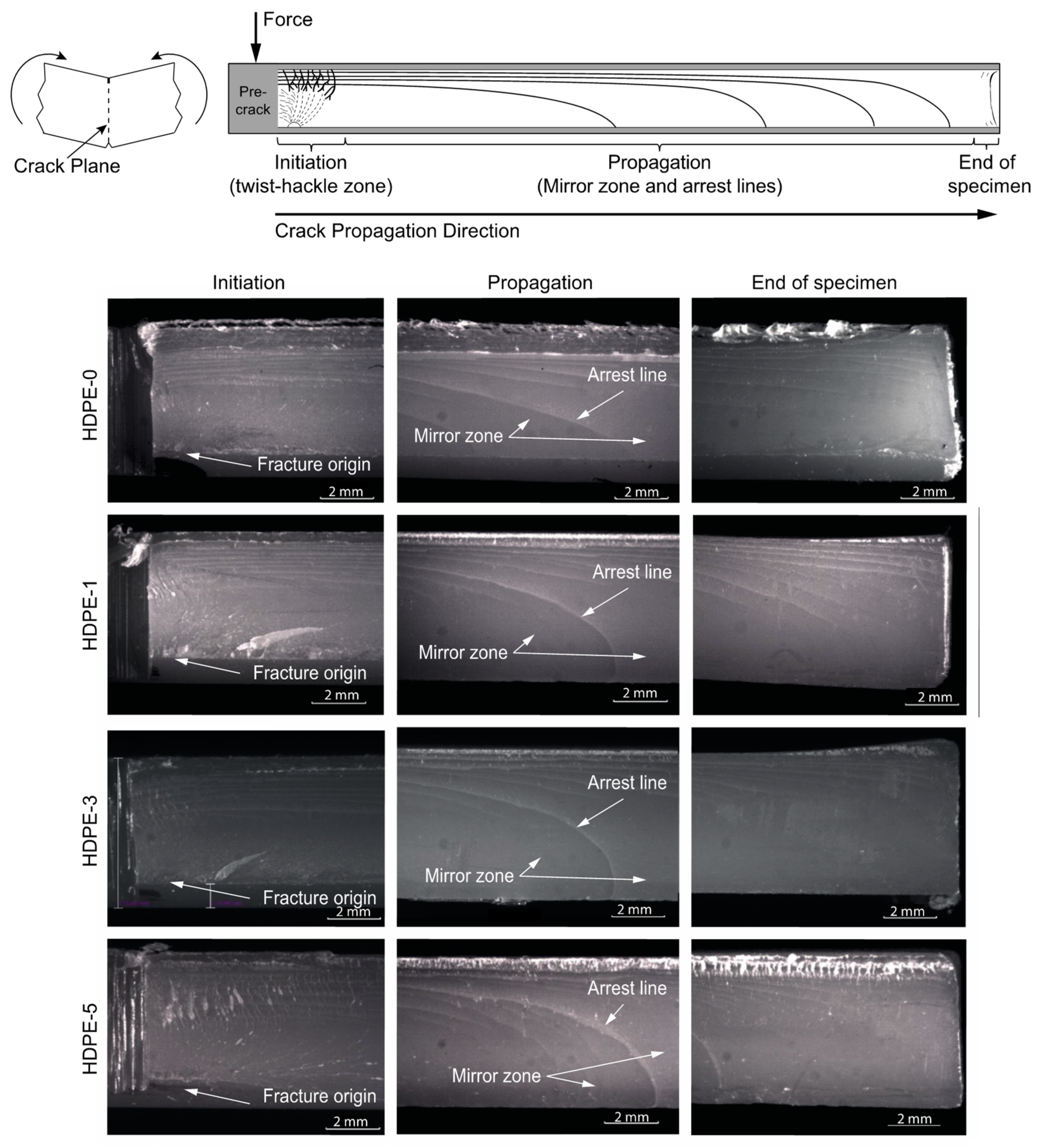 Polymers 15 00813 g003