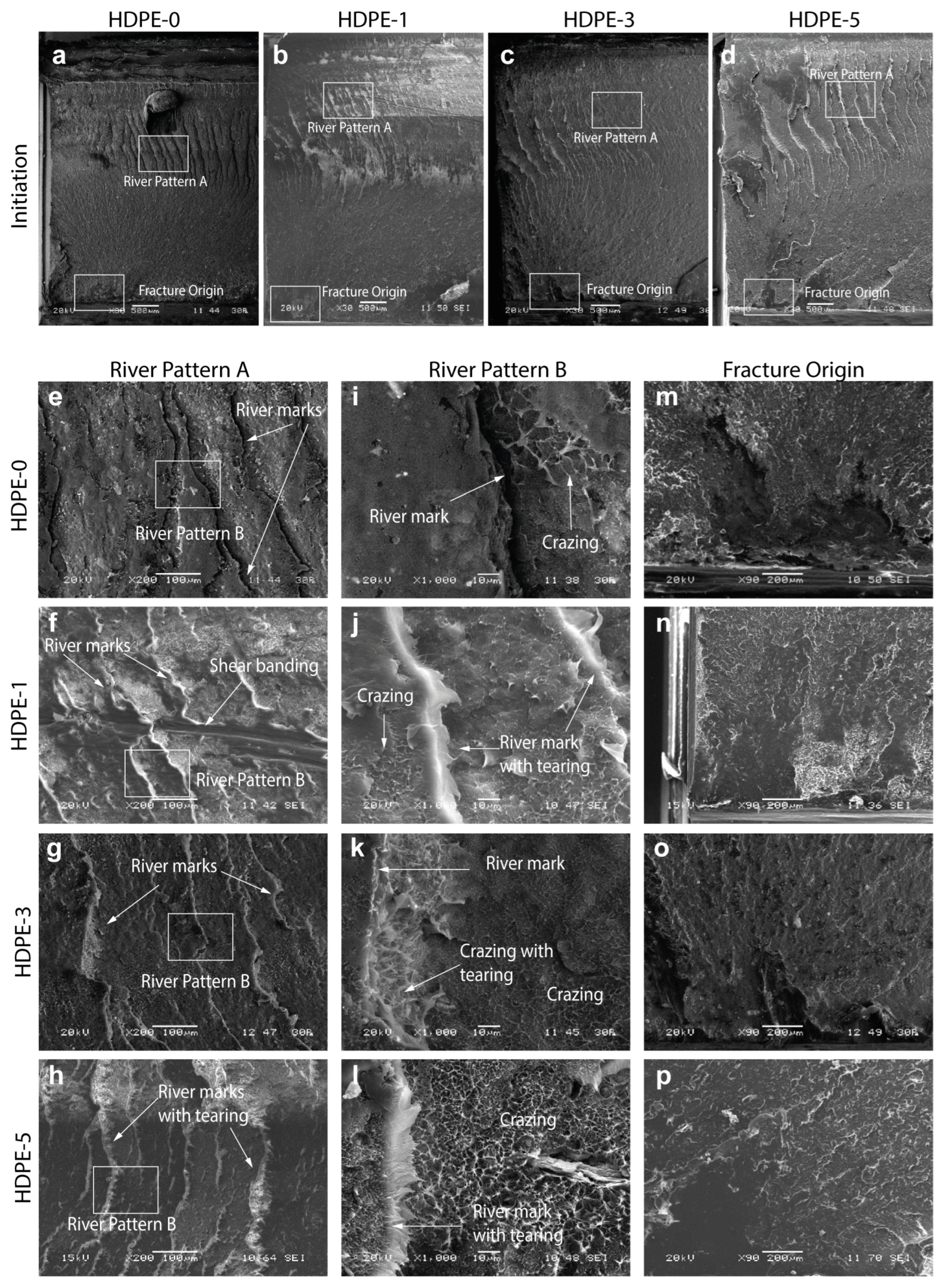 Polymers 15 00813 g004