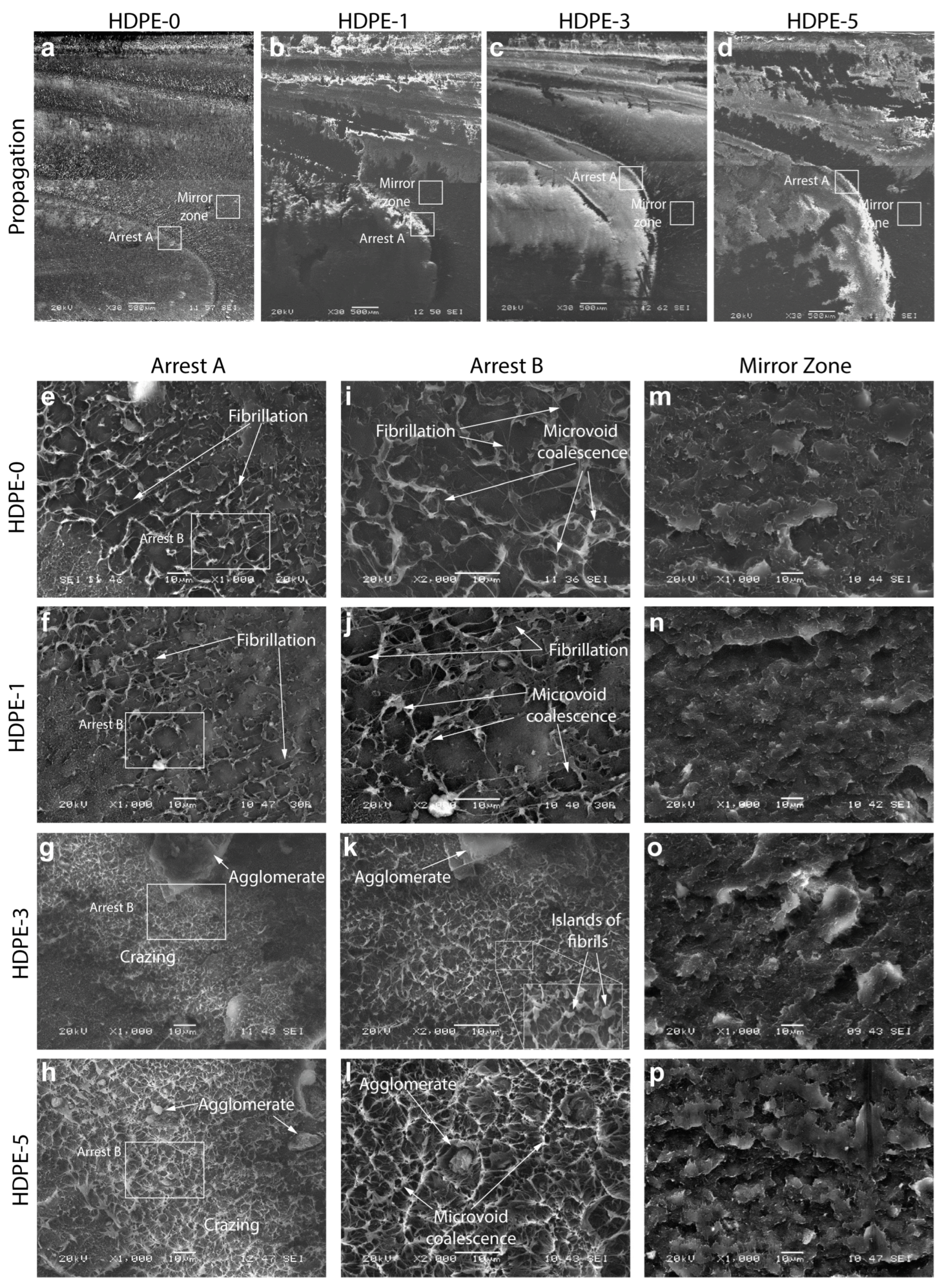 Polymers 15 00813 g005