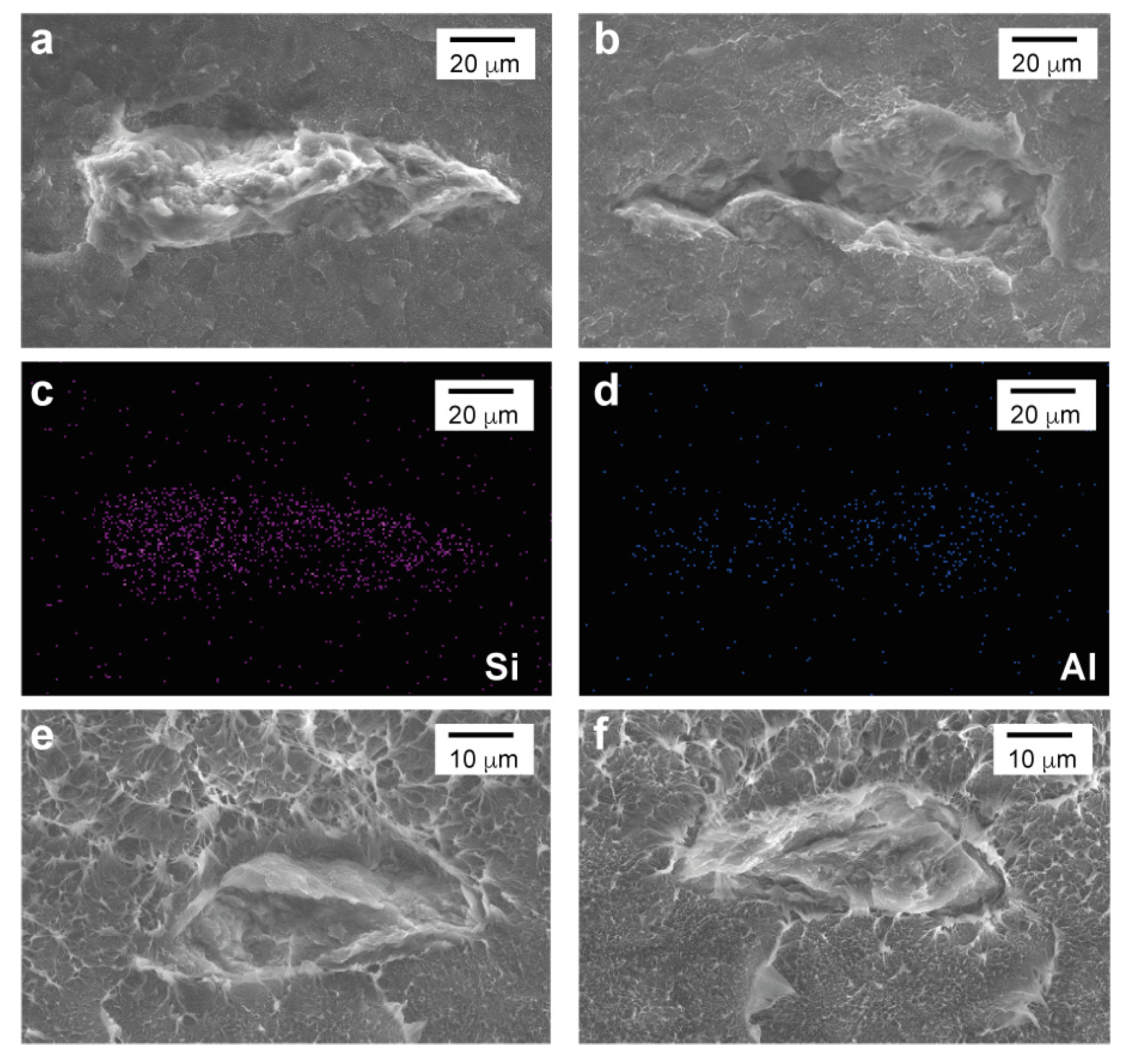 Polymers 15 00813 g006