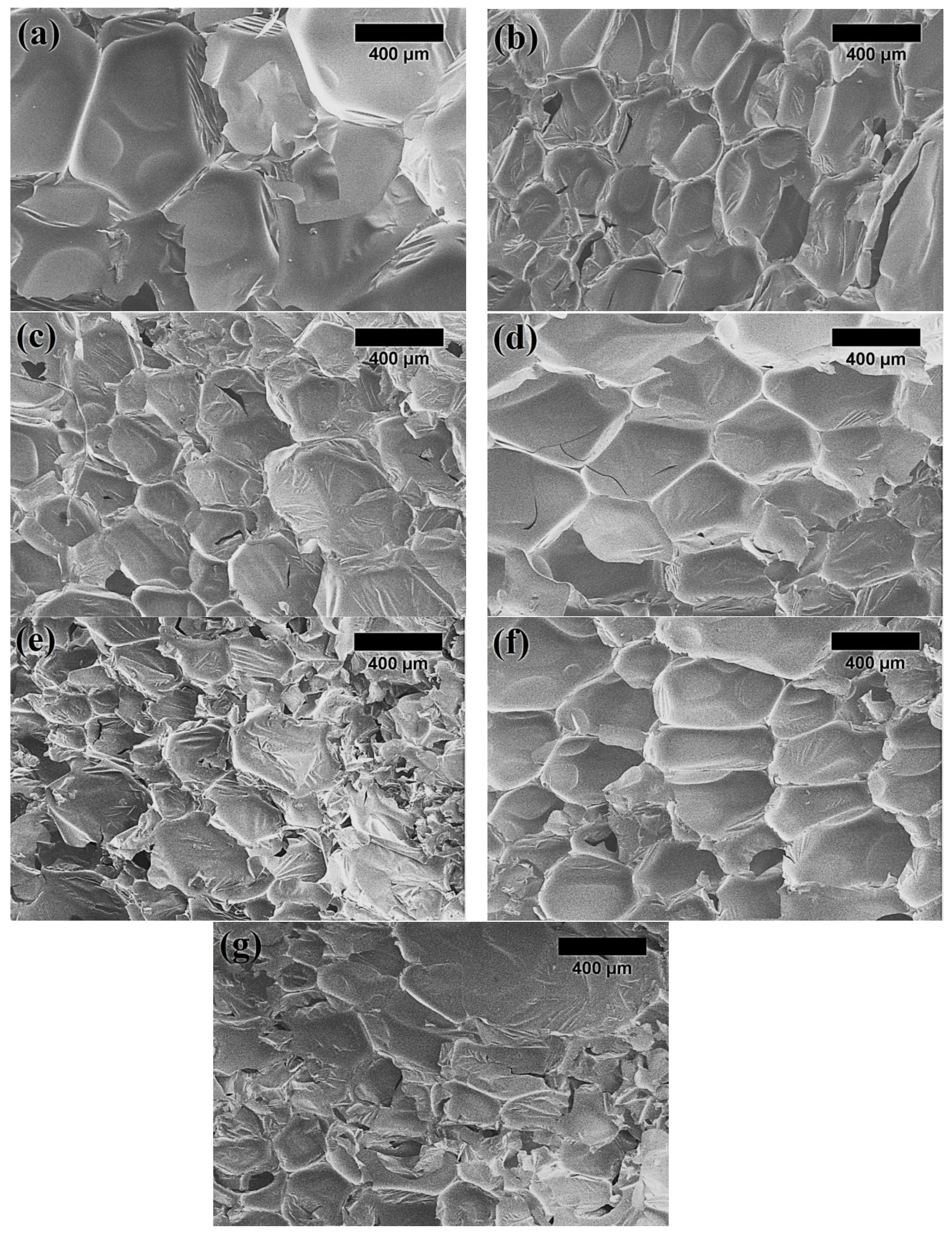 Polymers 15 00818 g004