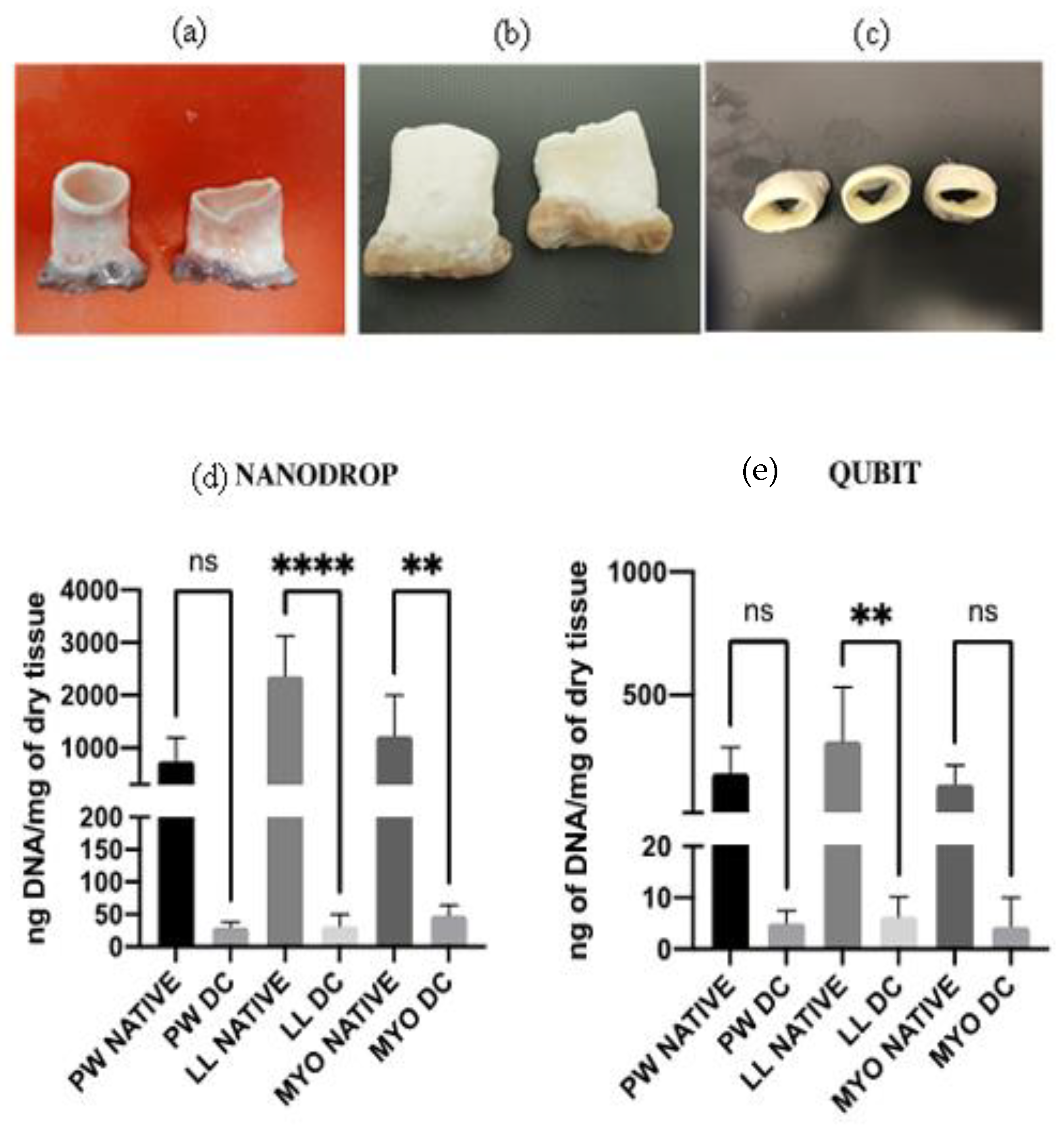 Polymers 15 00819 g001 Polymers 15 00819 g001