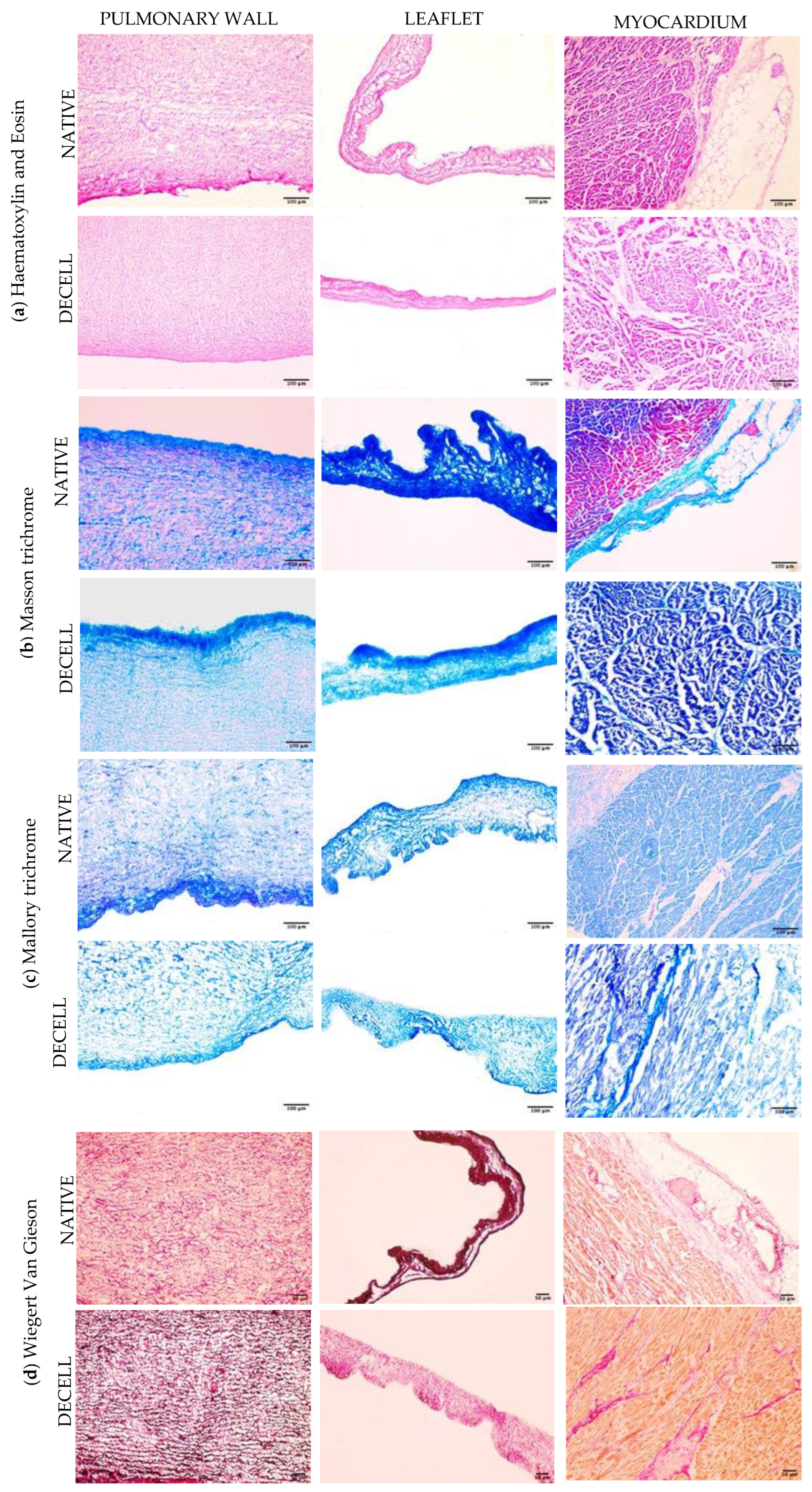 Polymers 15 00819 g002 Polymers 15 00819 g002