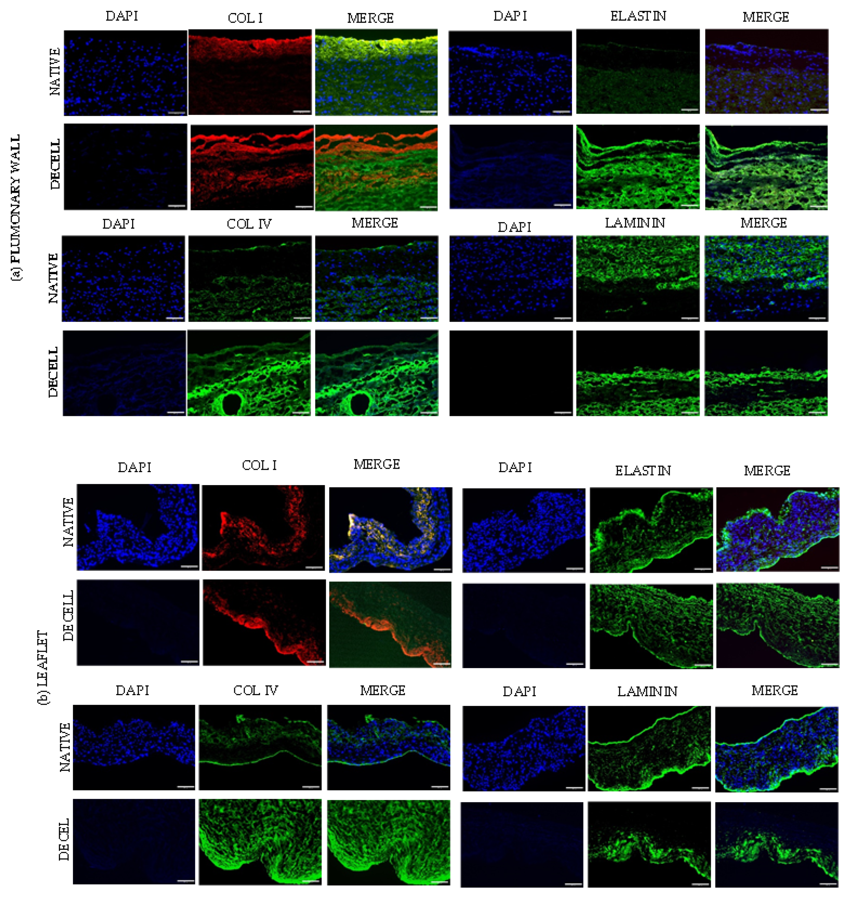 Polymers 15 00819 g003a Polymers 15 00819 g003a