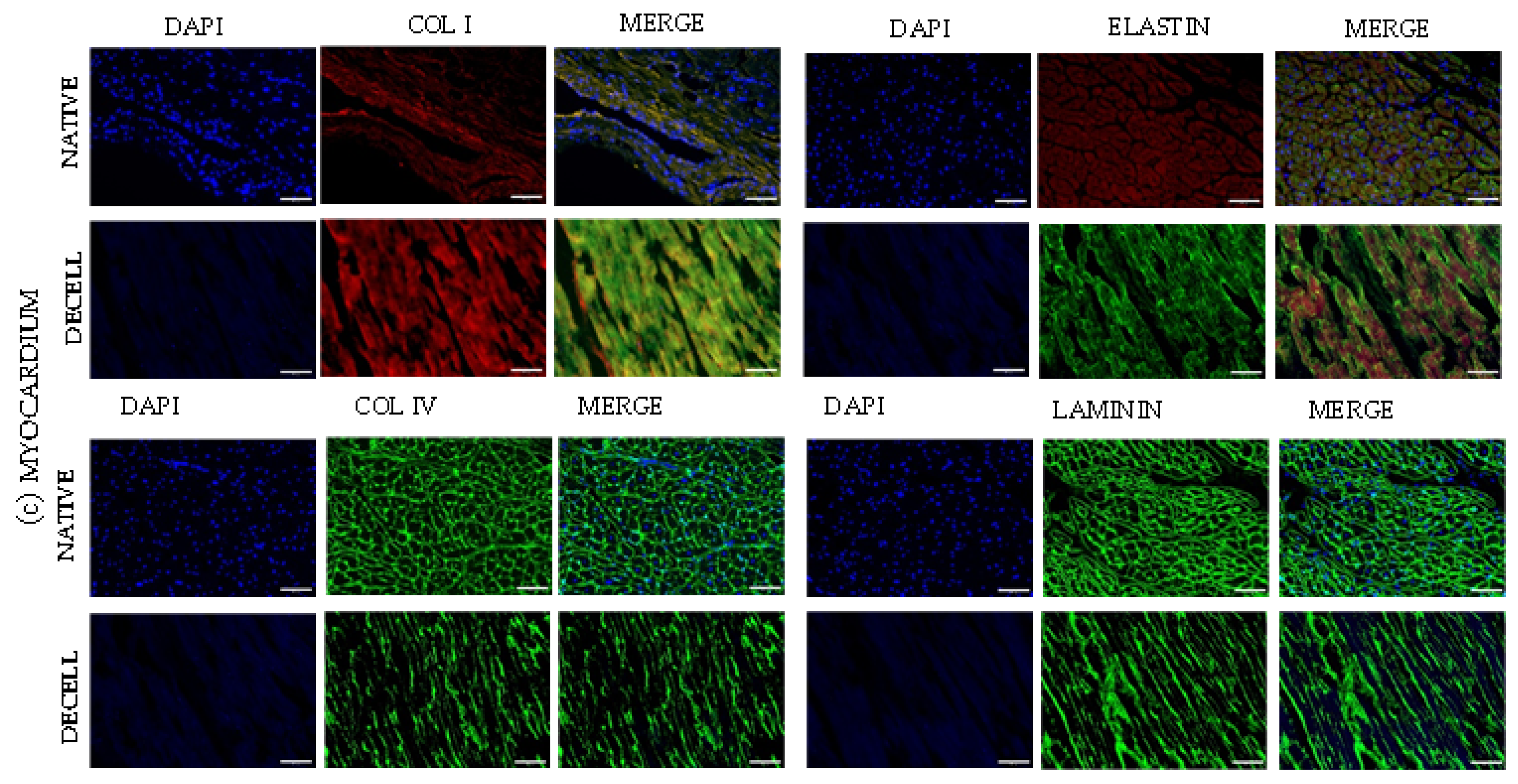 Polymers 15 00819 g003b Polymers 15 00819 g003b