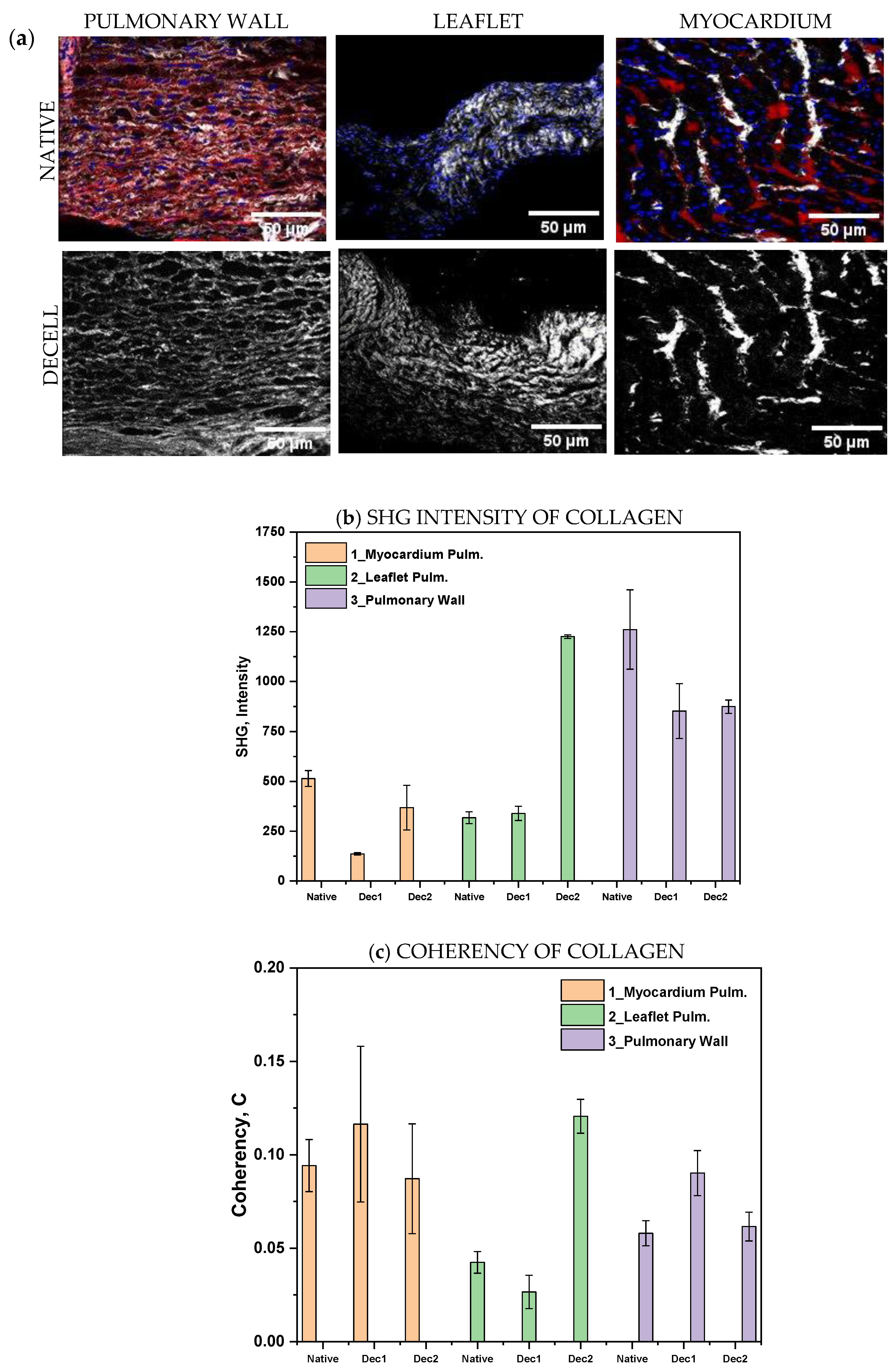 Polymers 15 00819 g004 Polymers 15 00819 g004