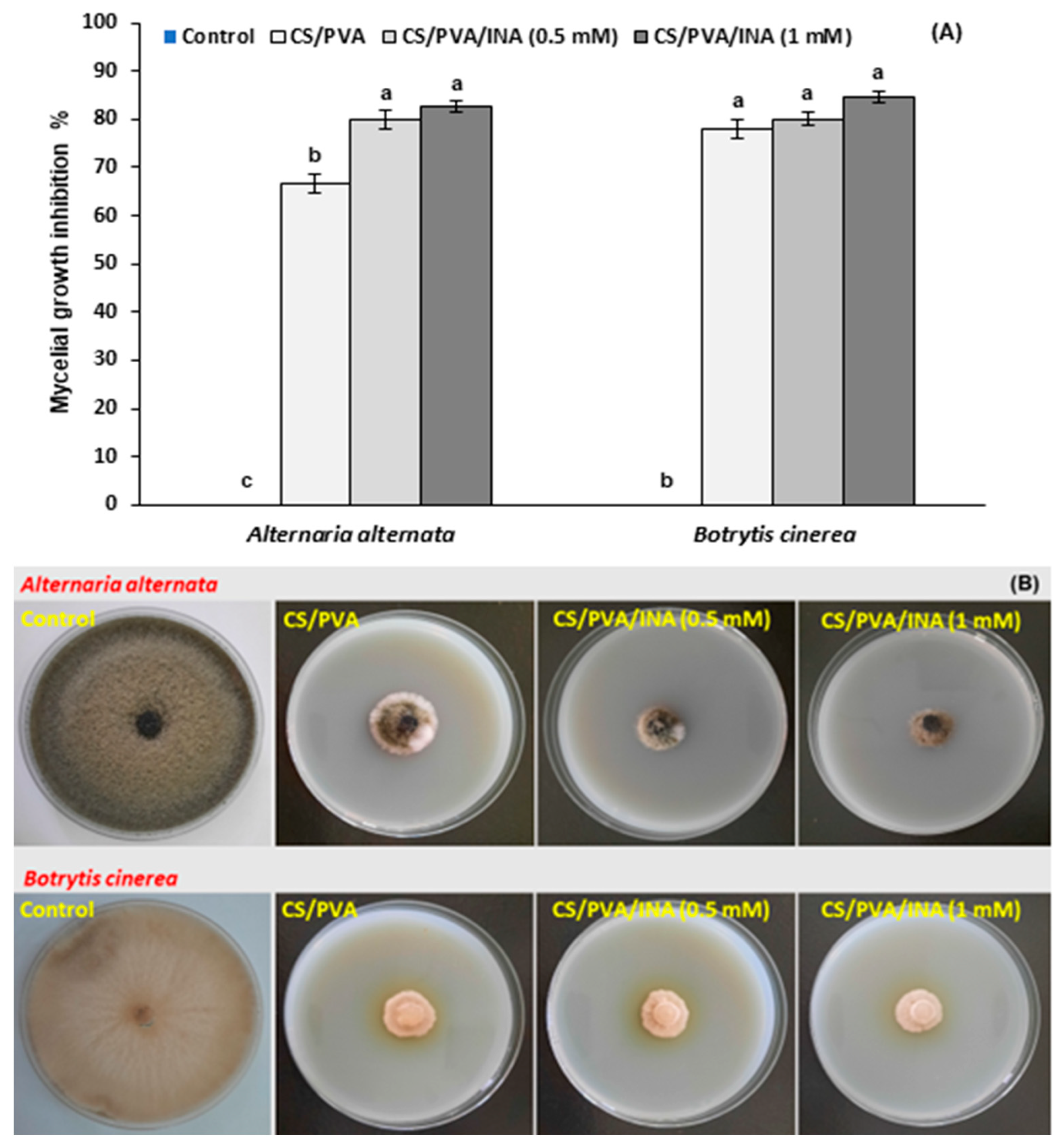 Polymers 15 00825 g004