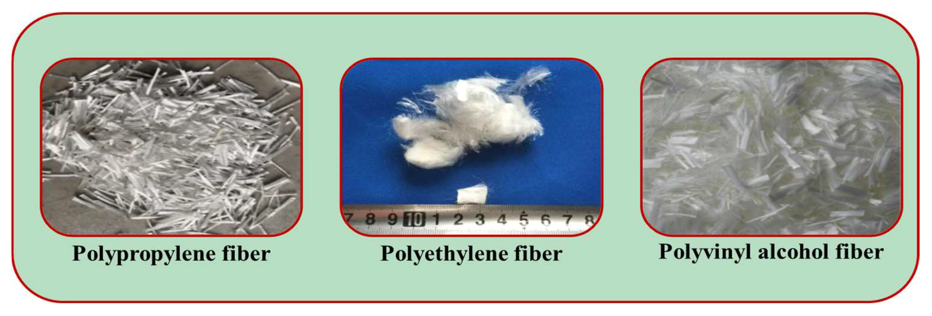 Polymers 15 00827 g008