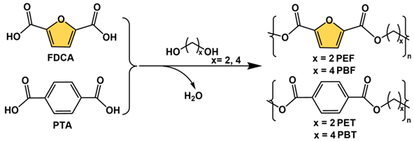 Polymers 15 00829 i001