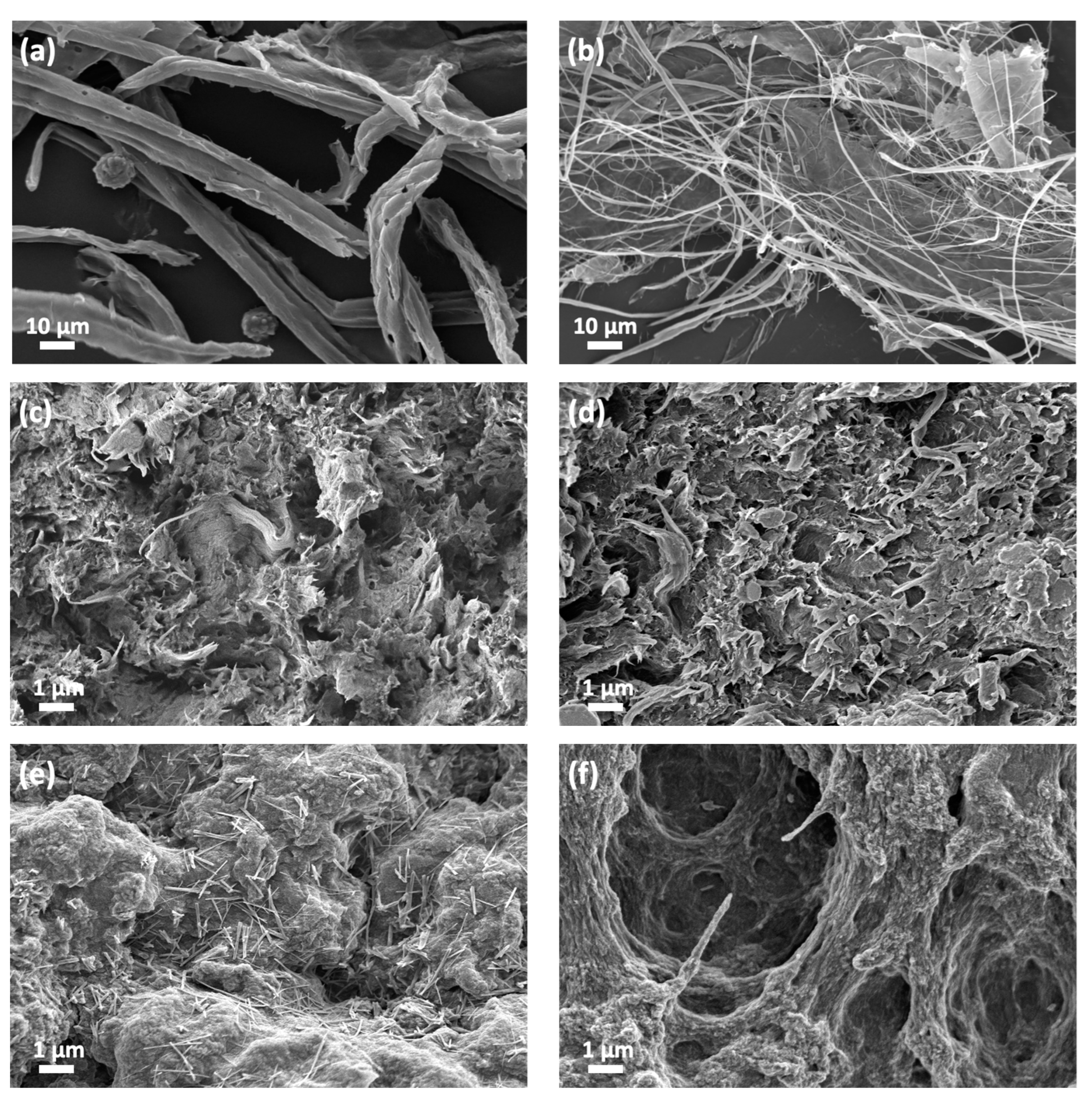 Polymers 15 00837 g001