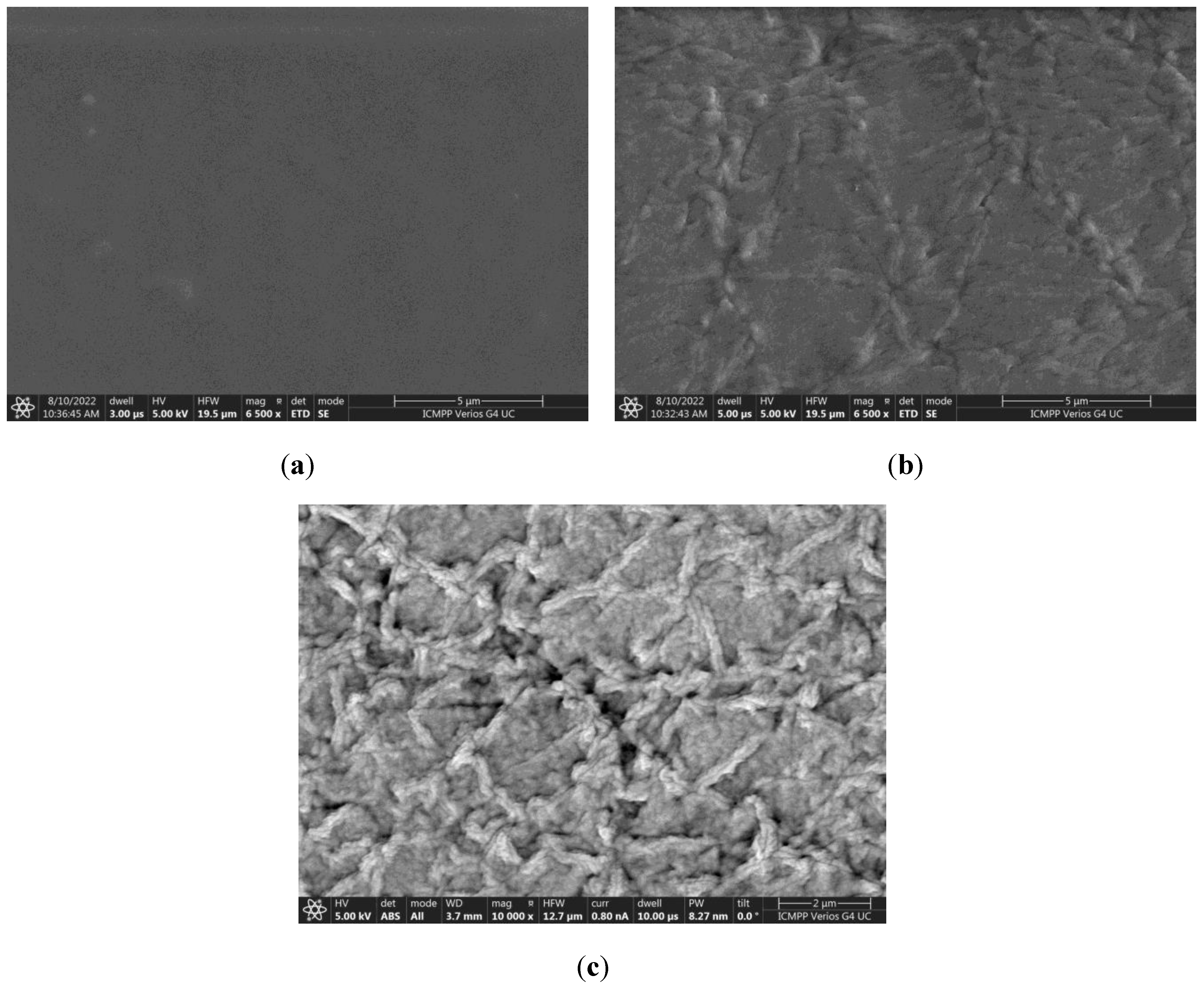 Polymers 15 00841 g004