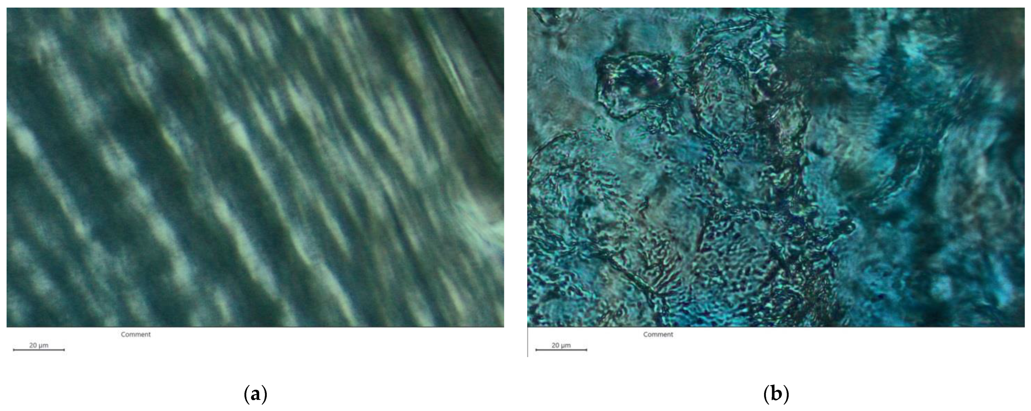 Polymers 15 00841 g005