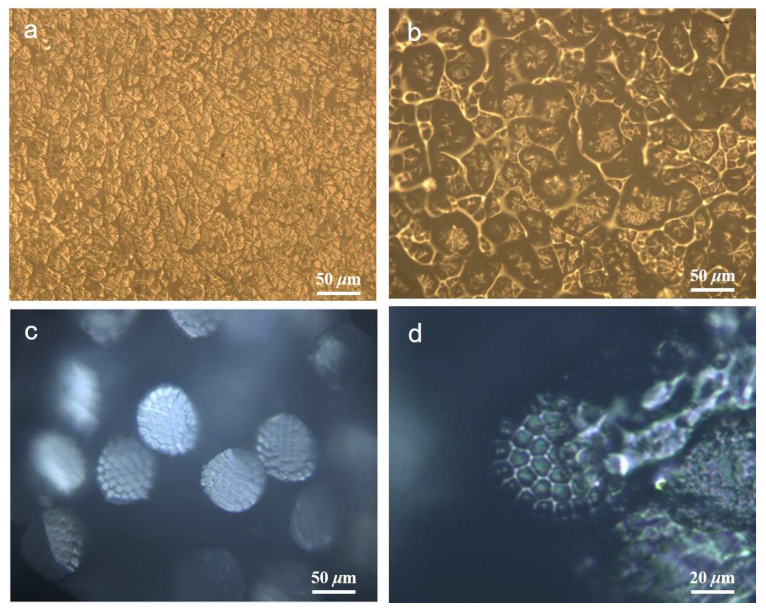 Polymers 15 00842 g002
