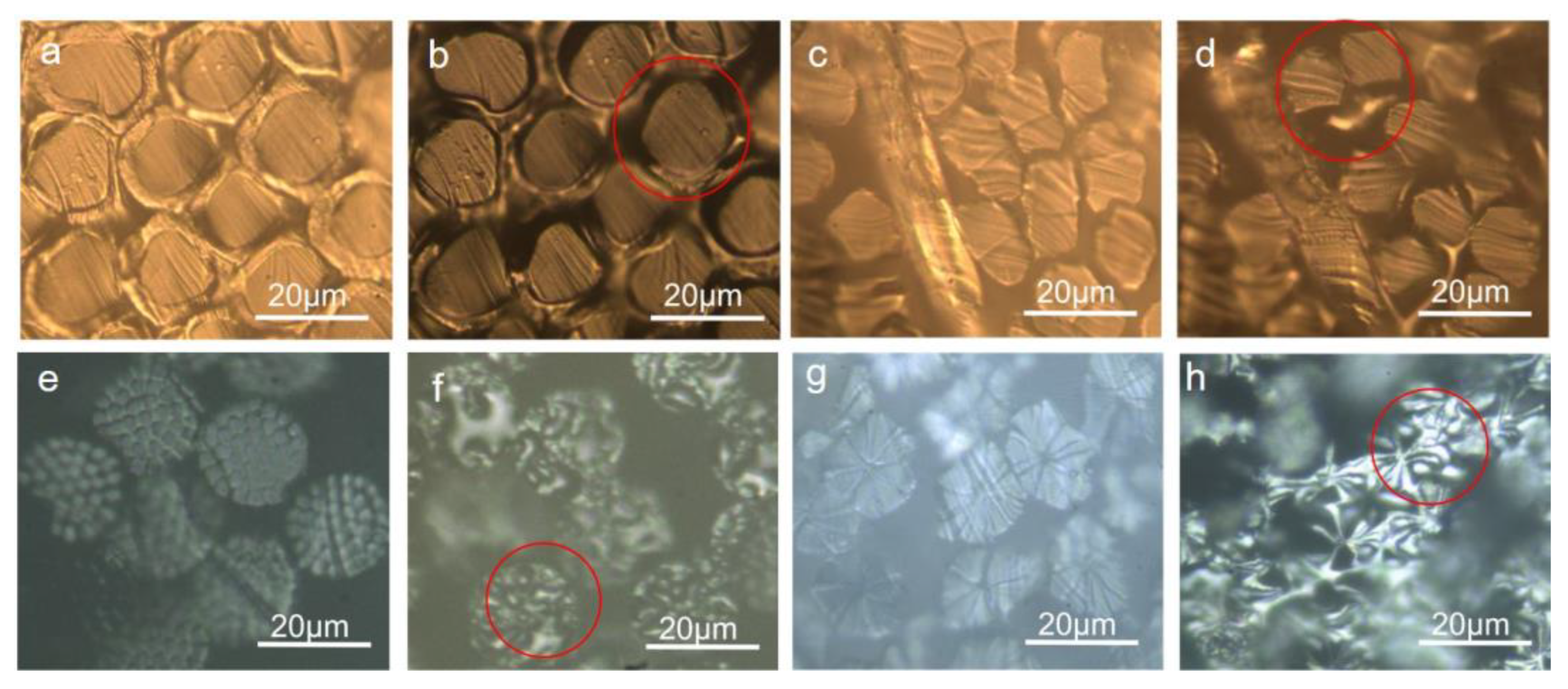 Polymers 15 00842 g003