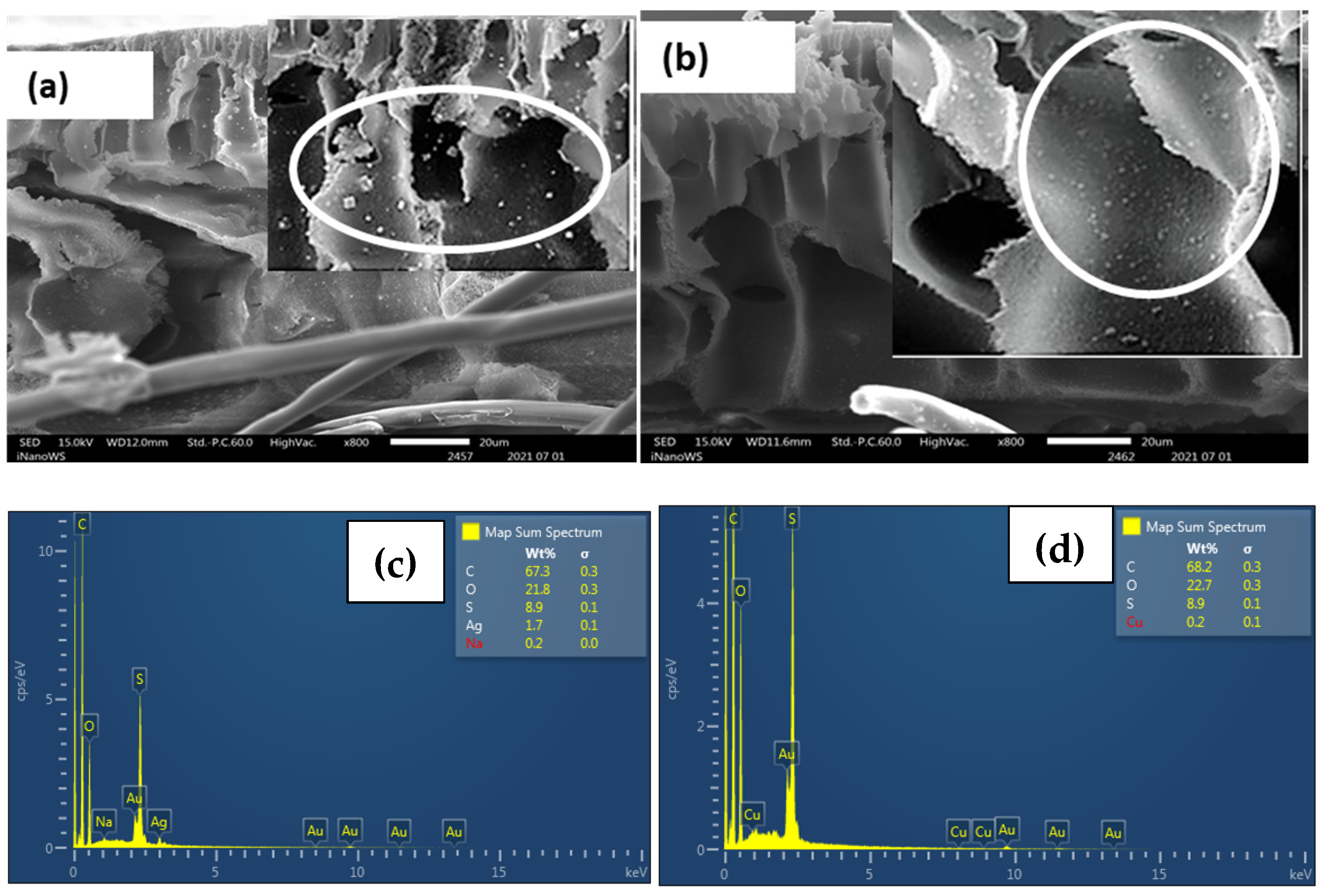 Polymers 15 00843 g001 Polymers 15 00843 g001