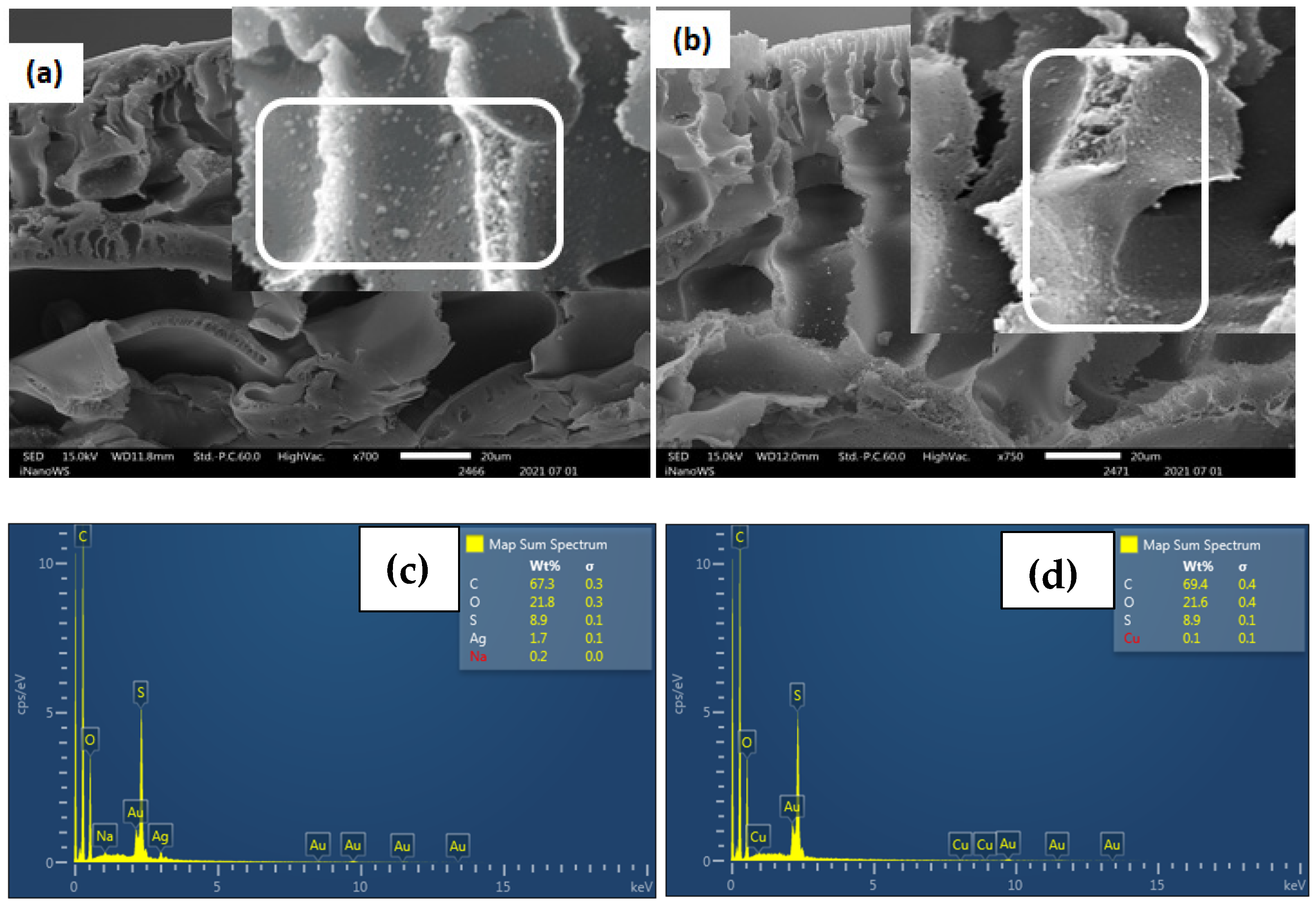 Polymers 15 00843 g002 Polymers 15 00843 g002