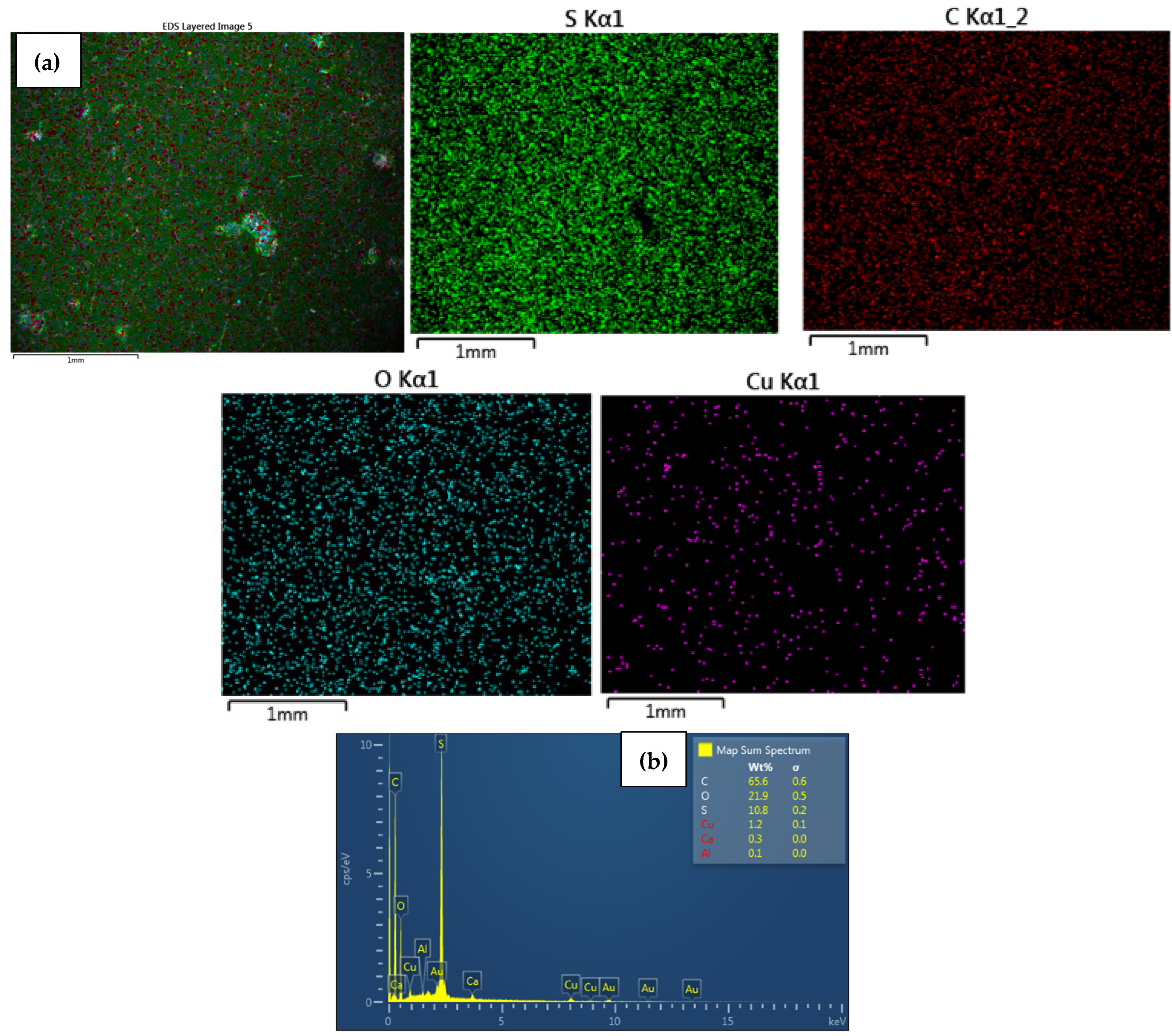 Polymers 15 00843 g004 Polymers 15 00843 g004