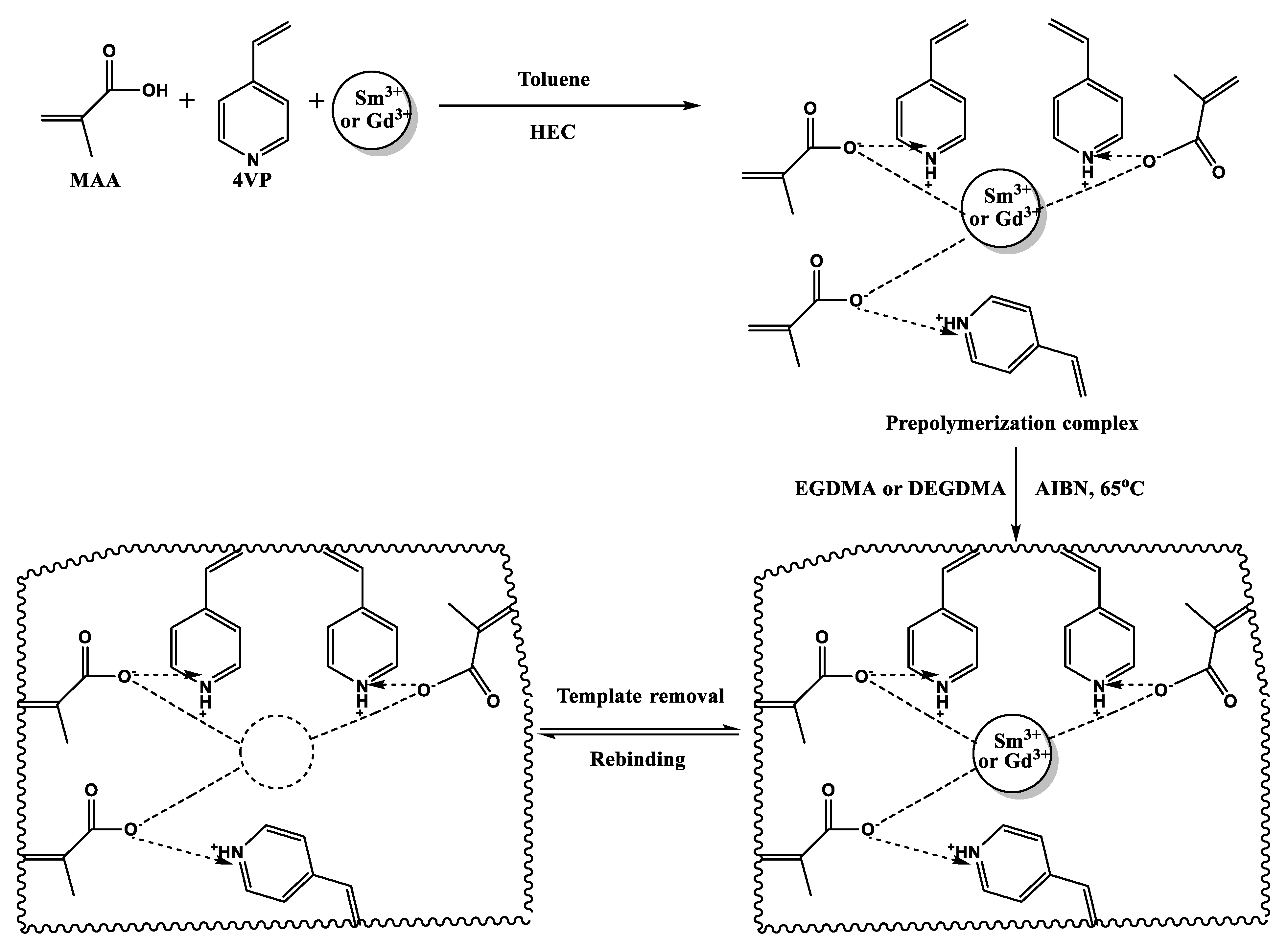 Polymers 15 00846 g003