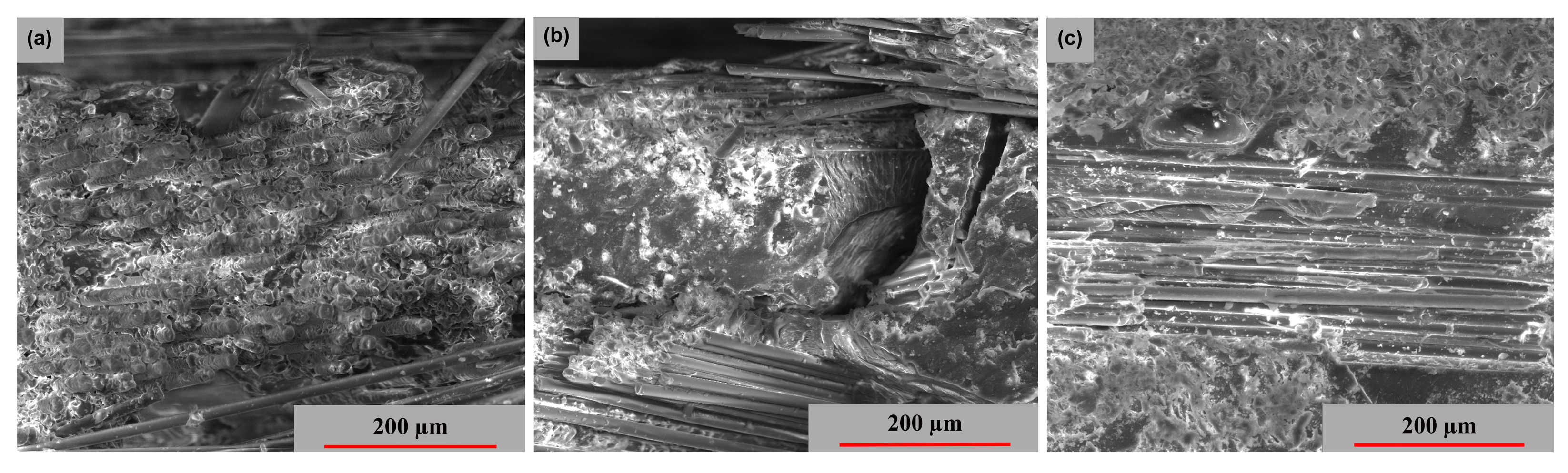 Polymers 15 00861 g014