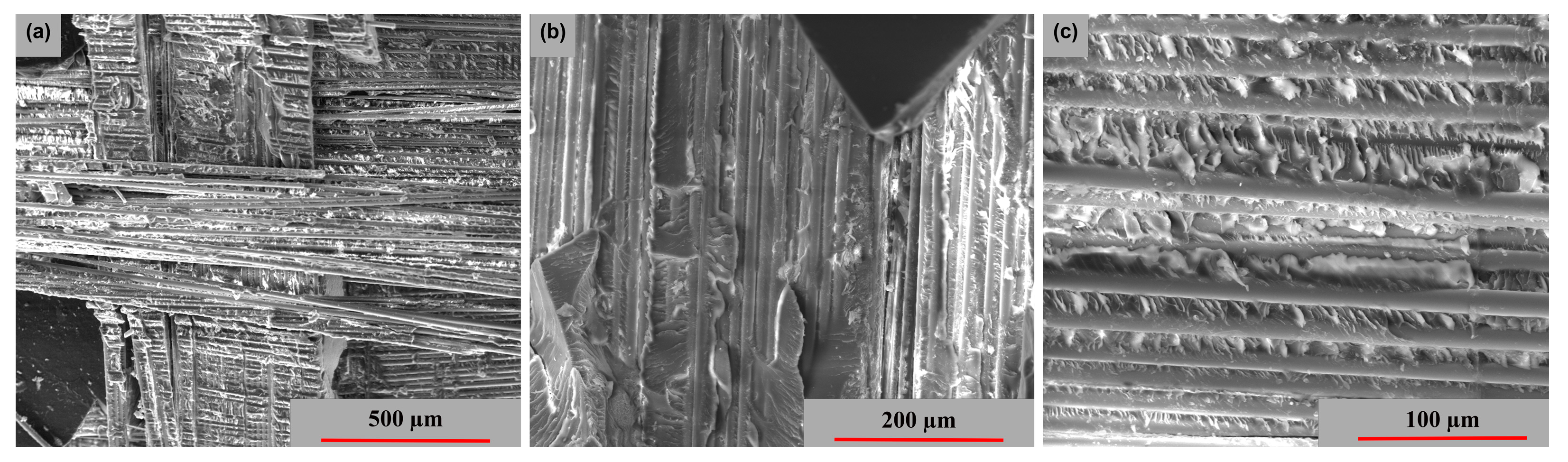 Polymers 15 00861 g015