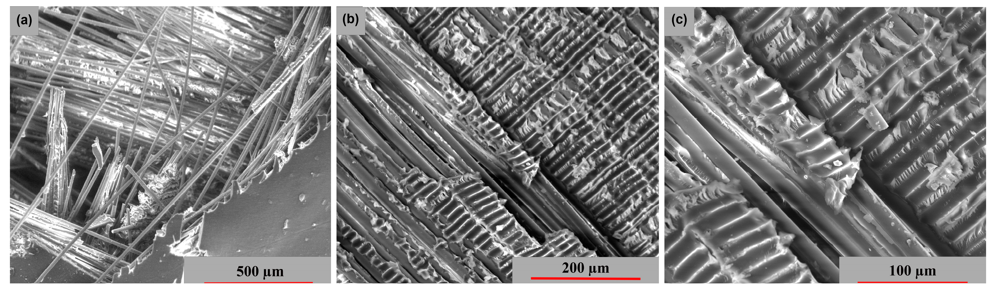 Polymers 15 00861 g016