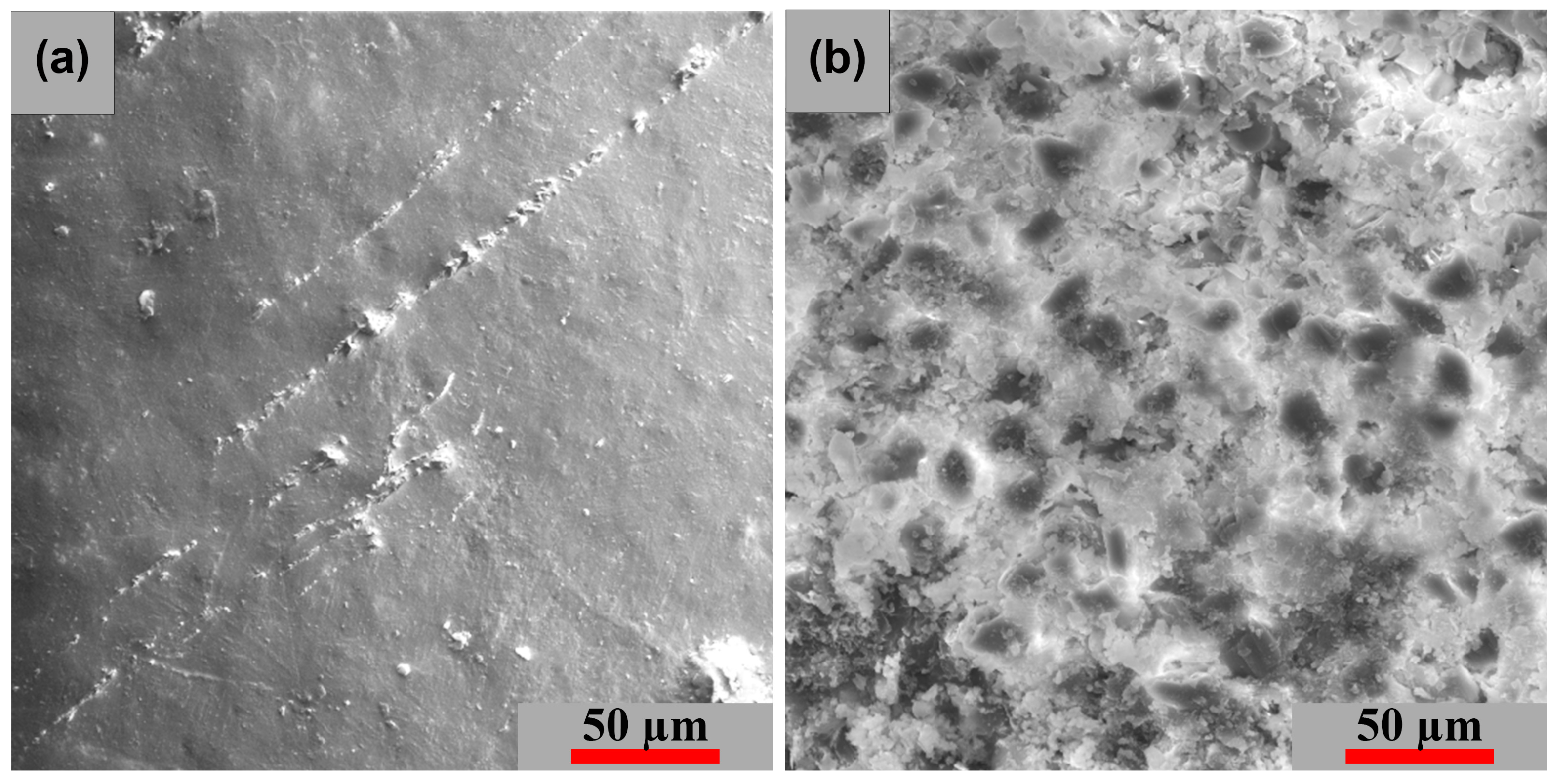 Polymers 15 00861 g018