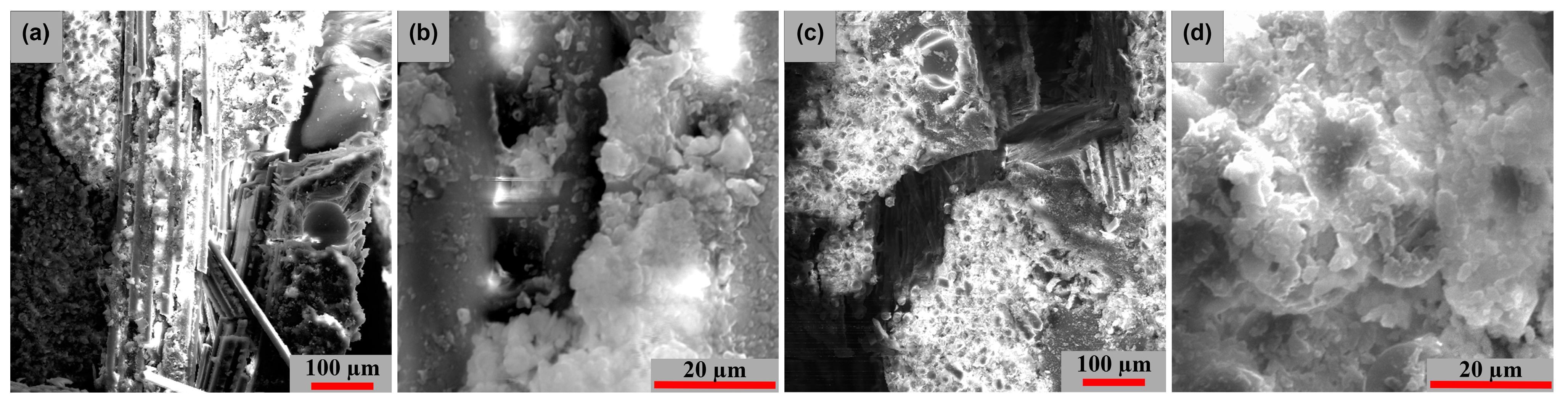 Polymers 15 00861 g019