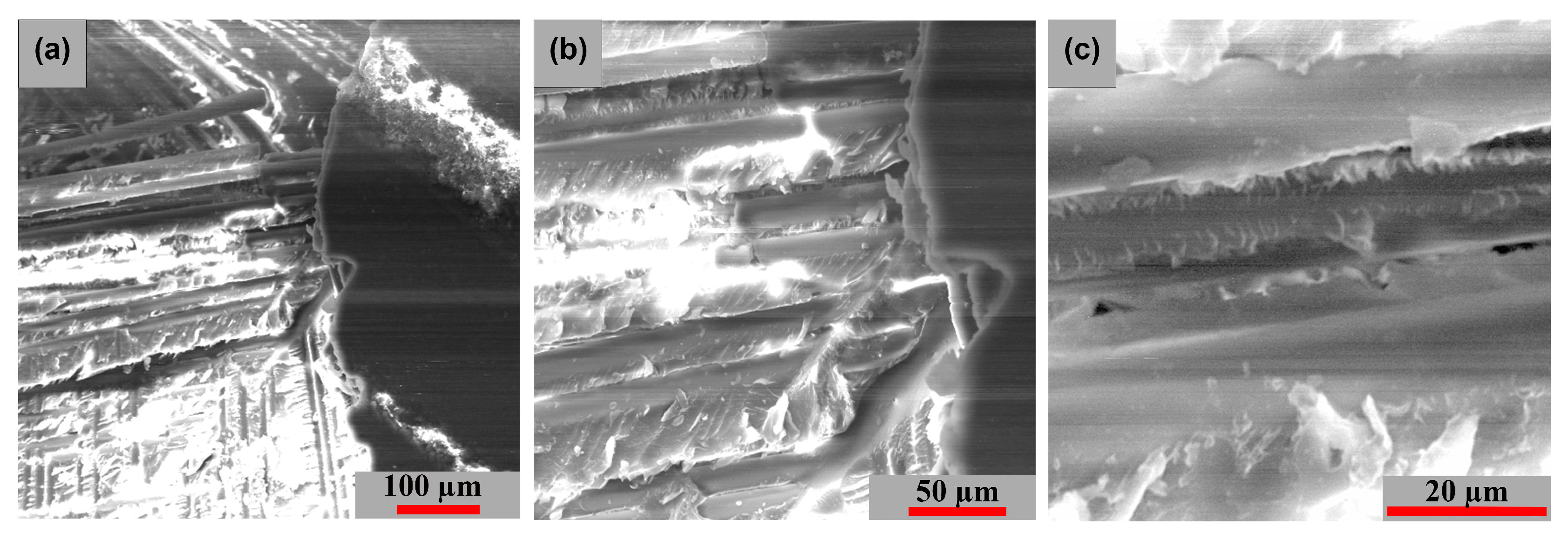 Polymers 15 00861 g020
