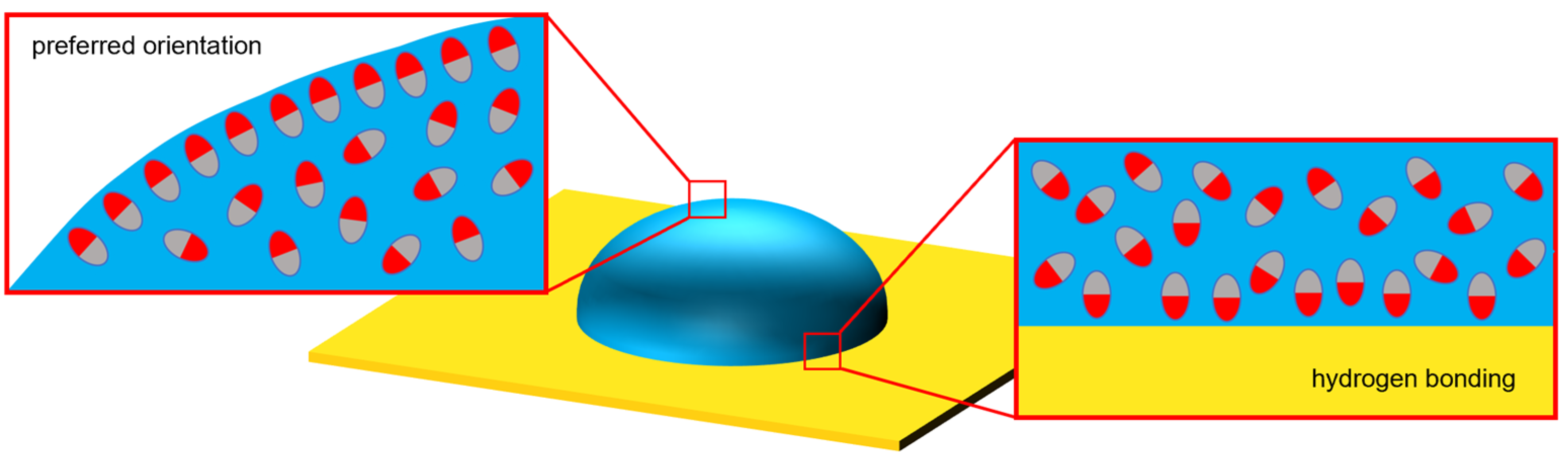 Polymers 15 00864 g002