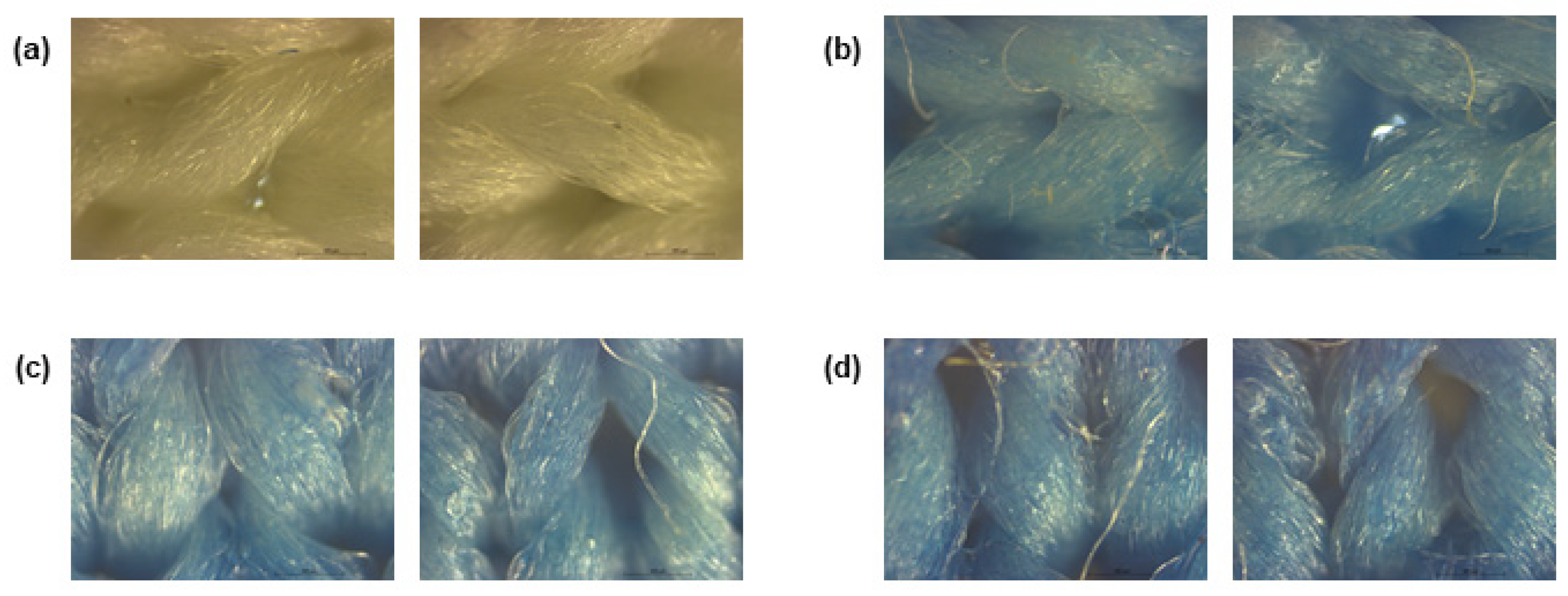 Polymers 15 00872 g001