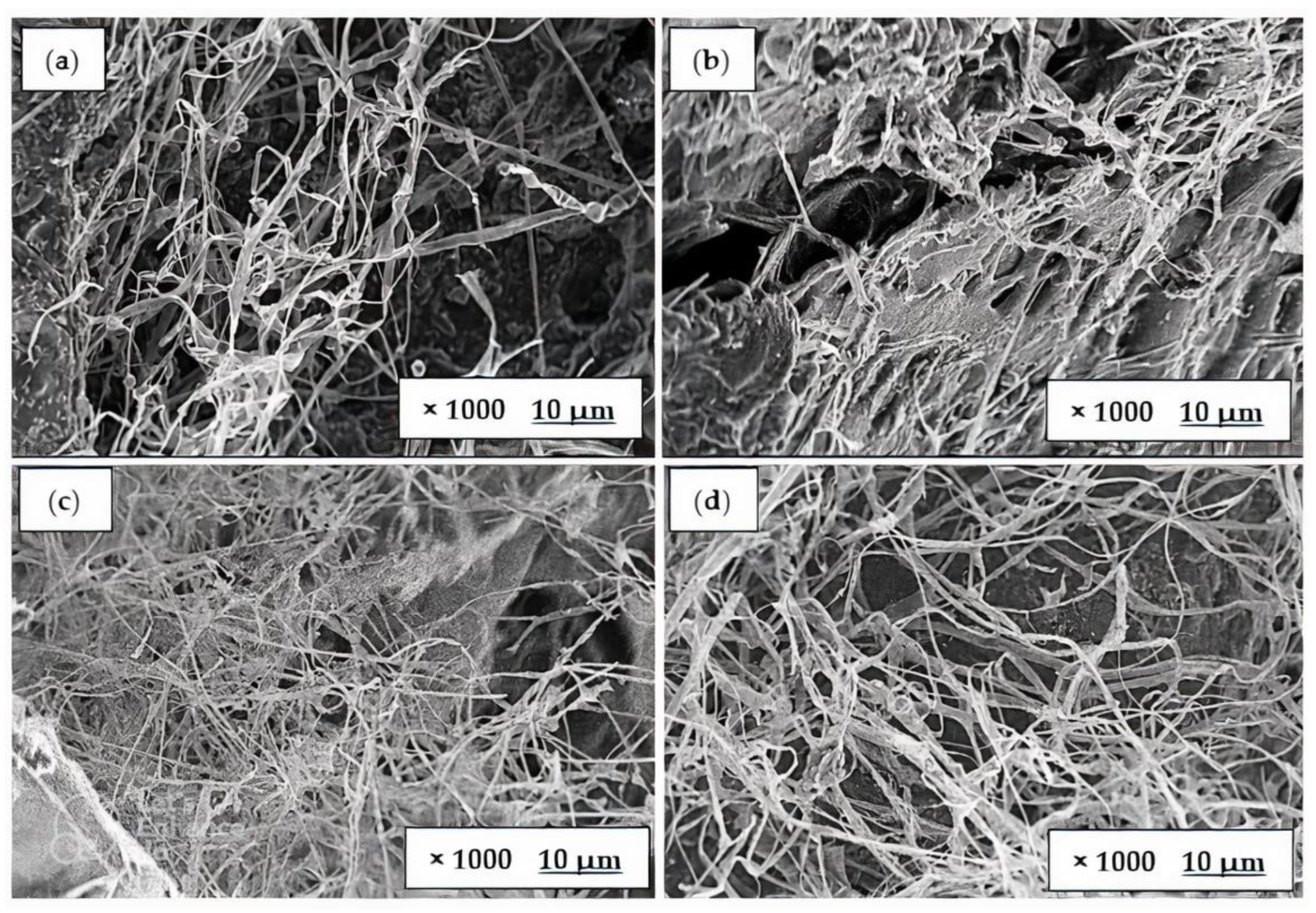 Polymers 15 00873 g005