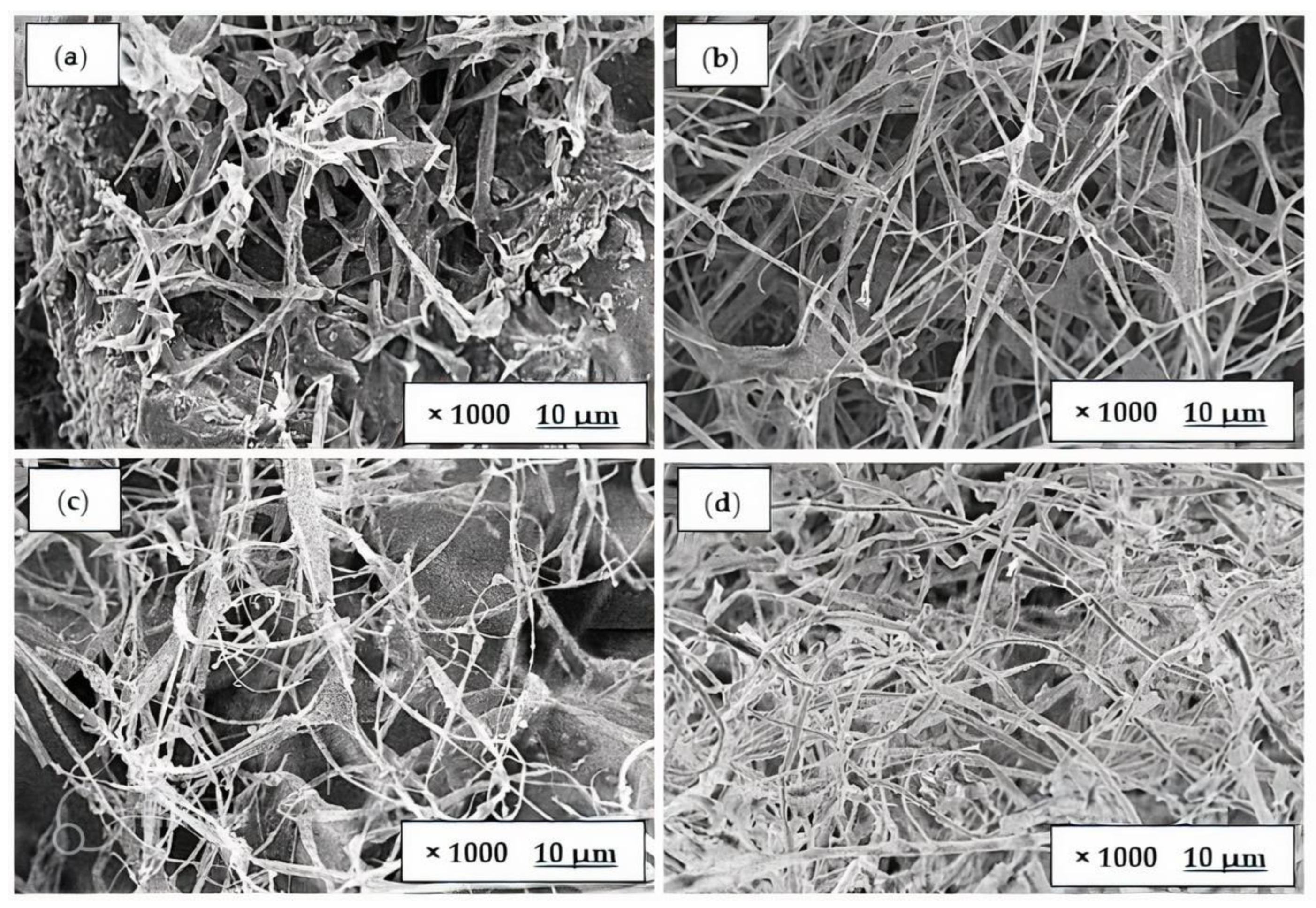 Polymers 15 00873 g006