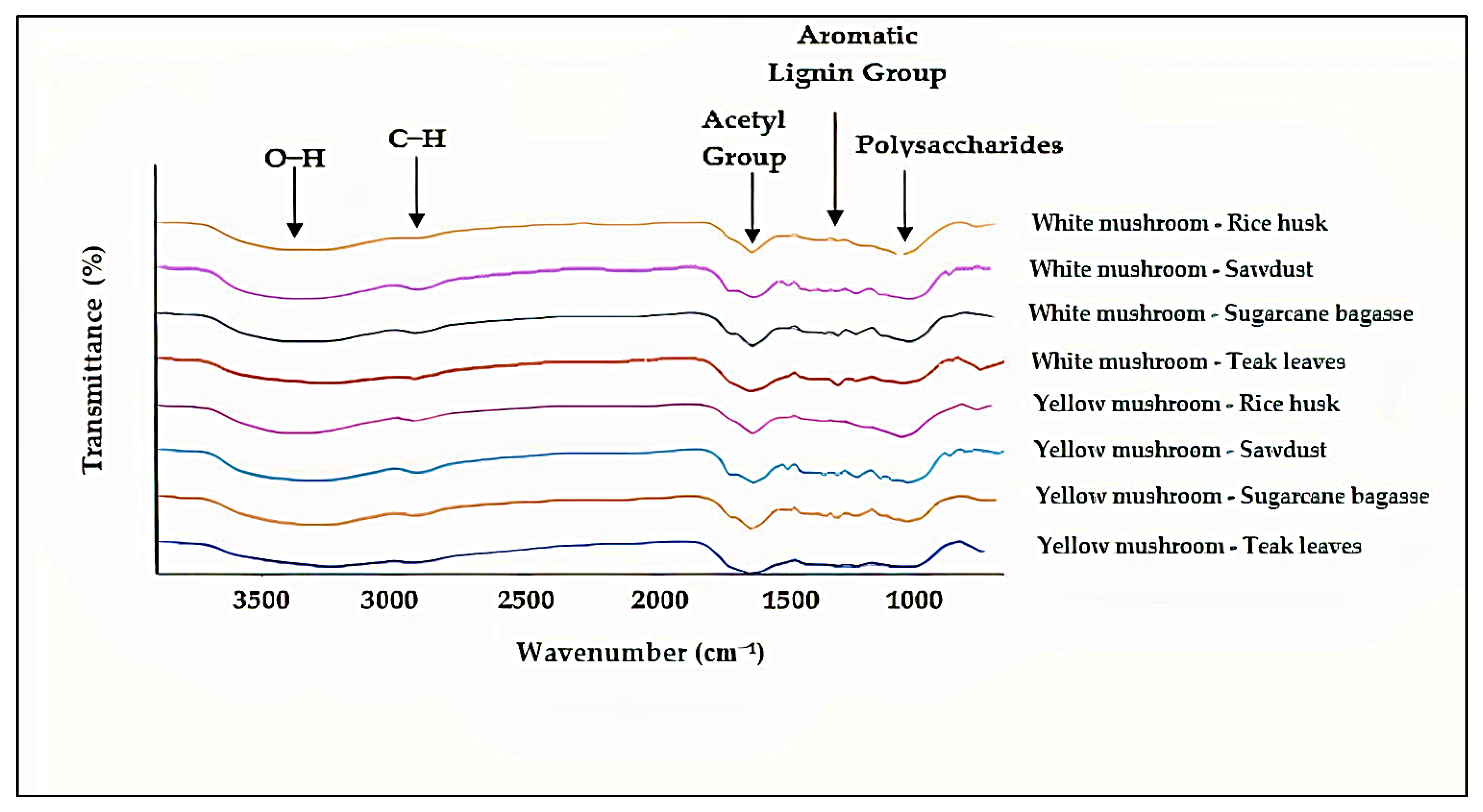Polymers 15 00873 g007