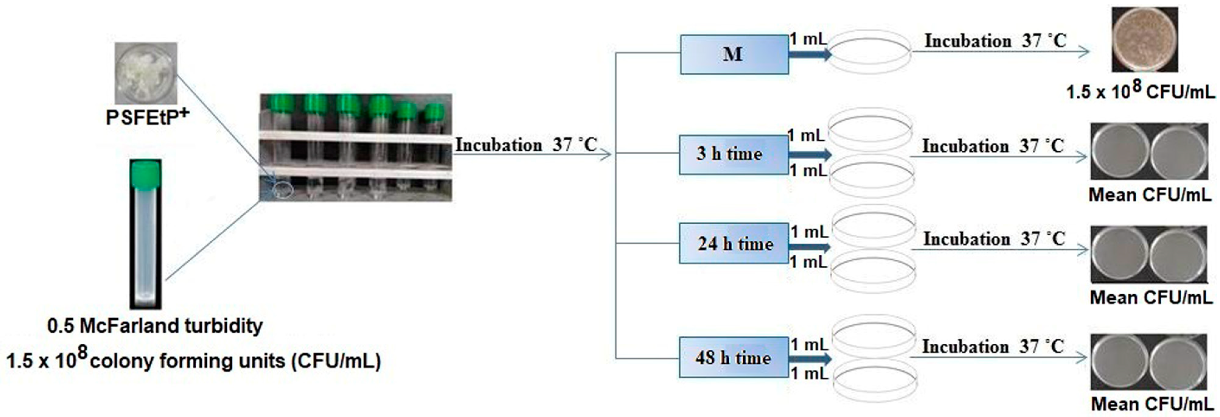 Polymers 15 00877 g002
