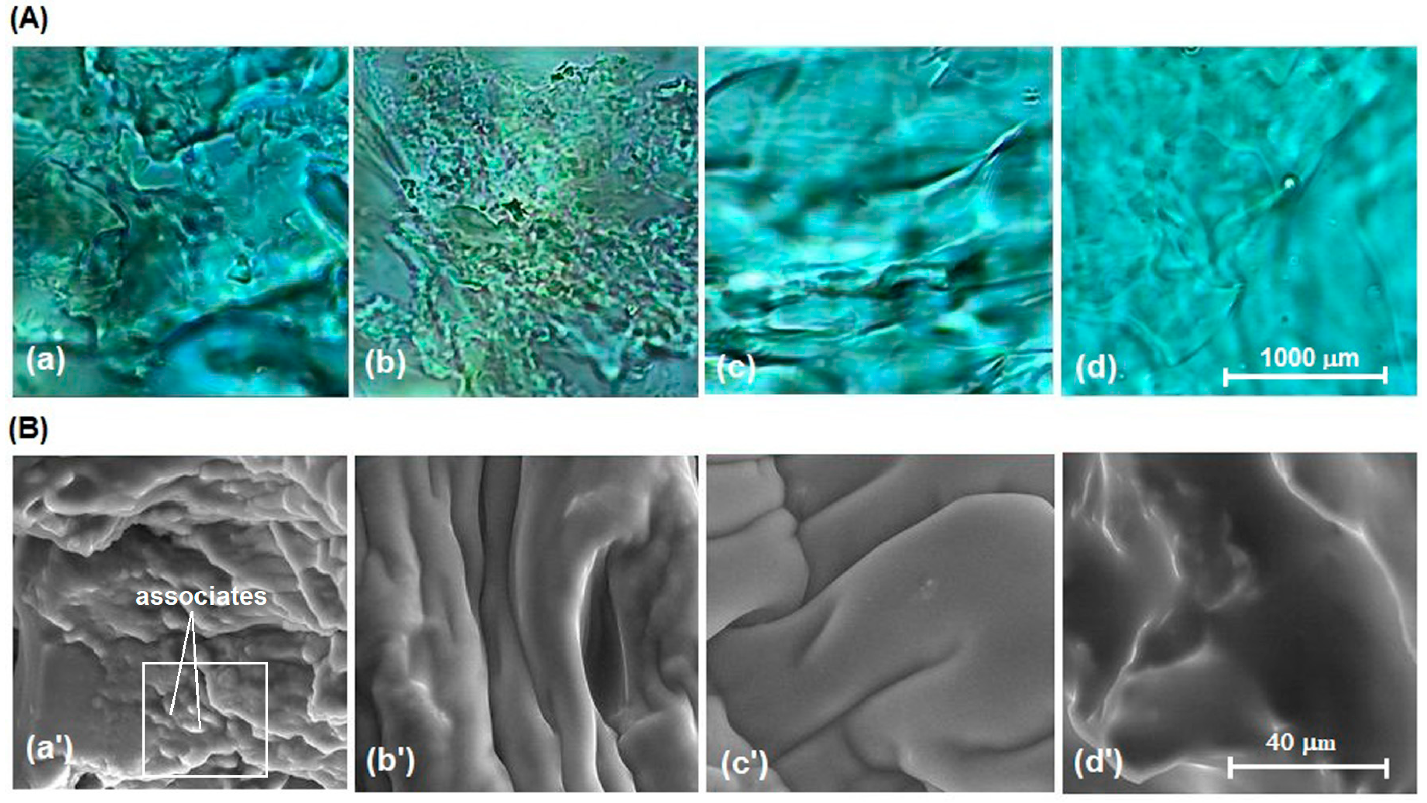 Polymers 15 00877 g008