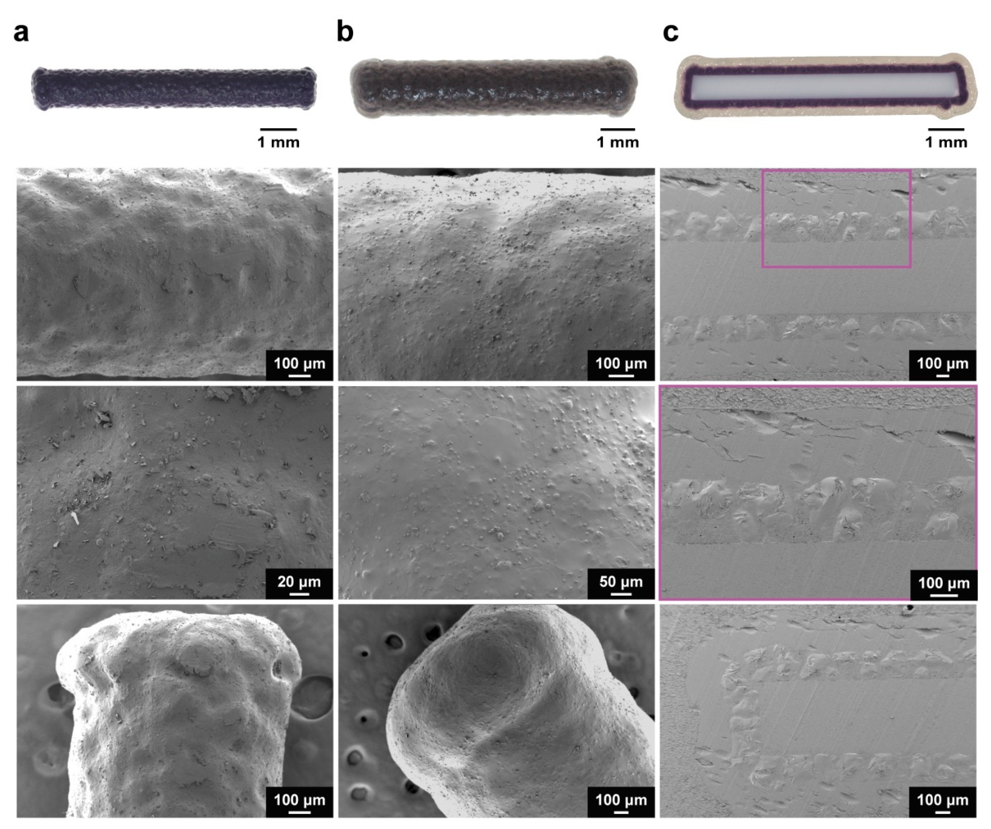 Polymers 15 00878 g001