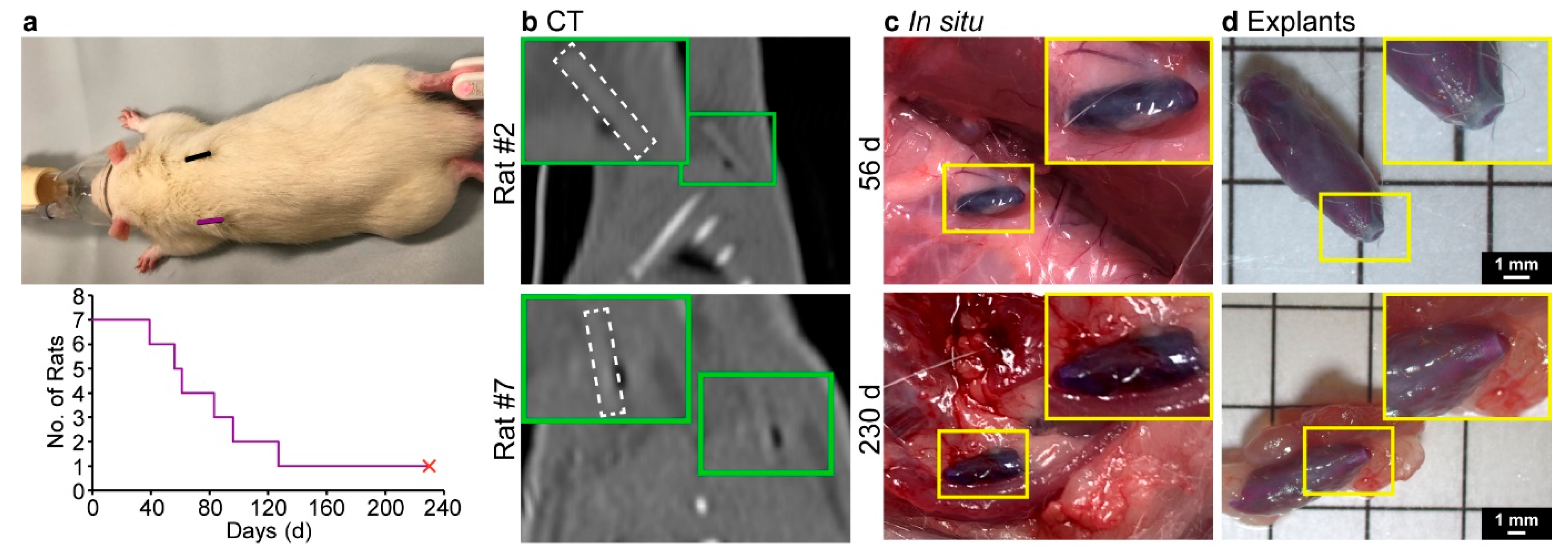 Polymers 15 00878 g006