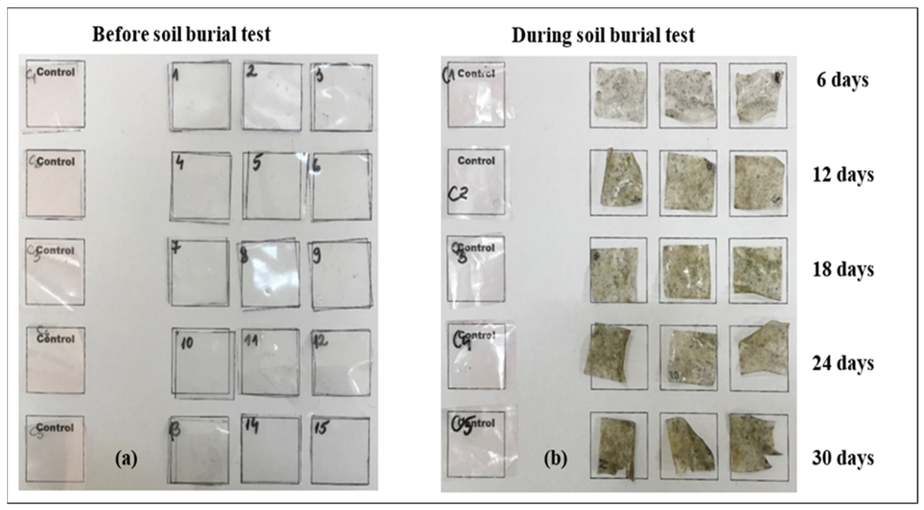 Polymers 15 00889 g005