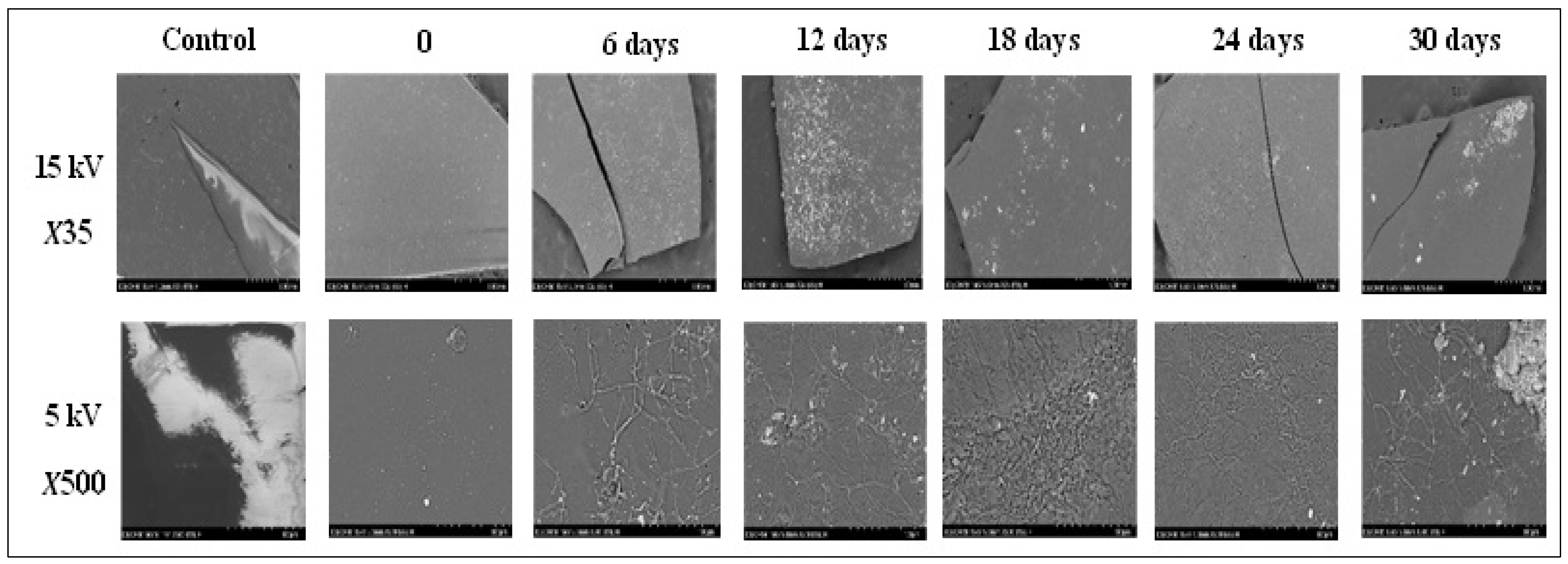 Polymers 15 00889 g007