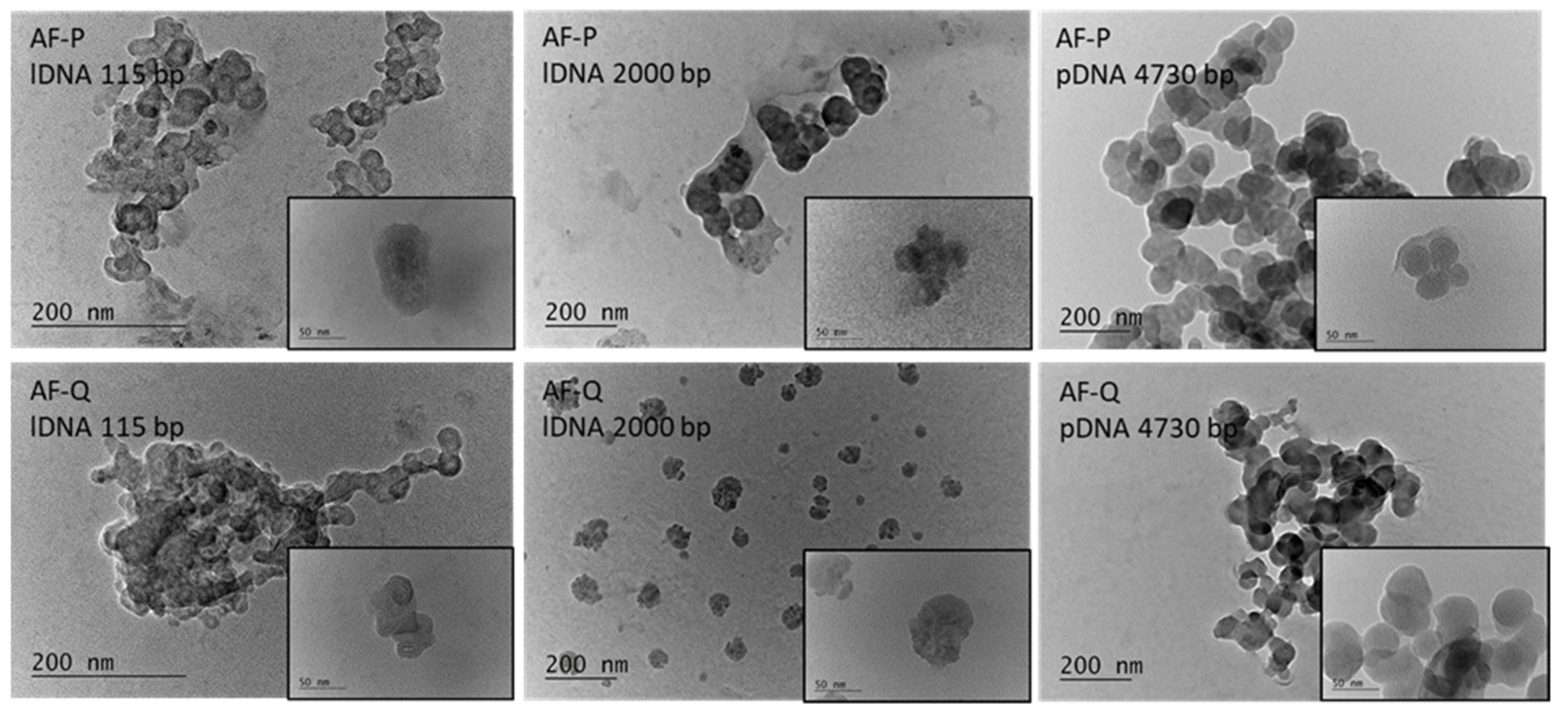 Polymers 15 00894 g004