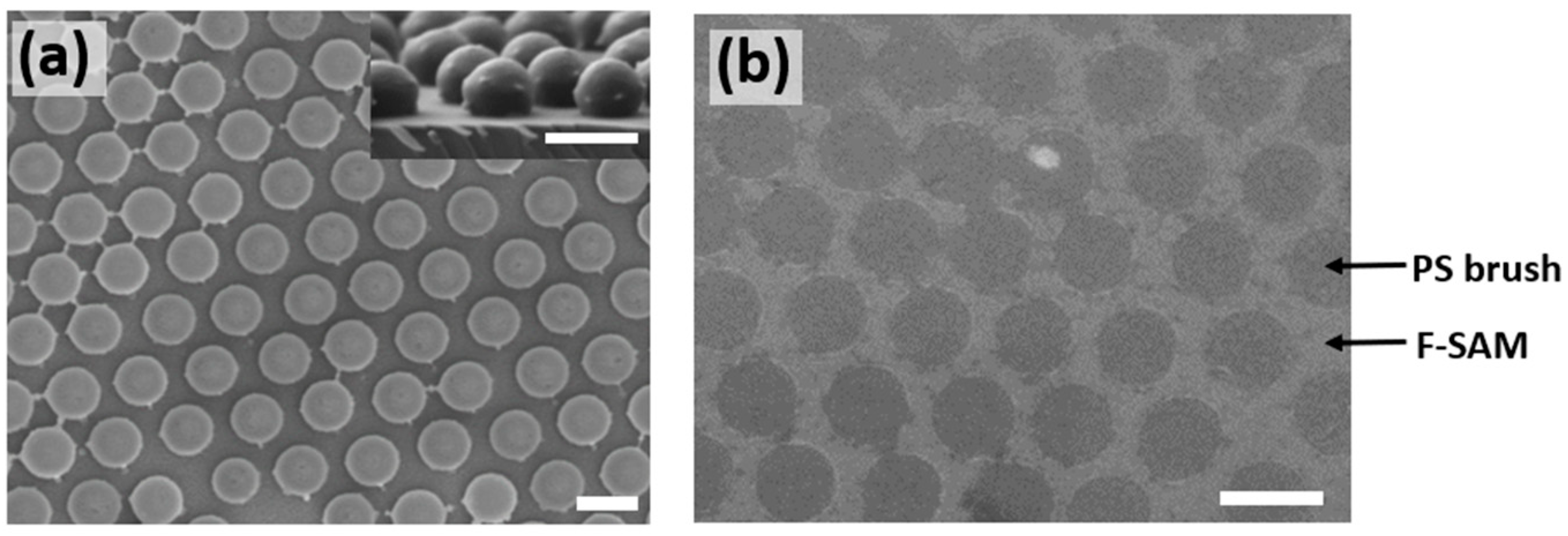 Polymers 15 00897 g002 Polymers 15 00897 g002
